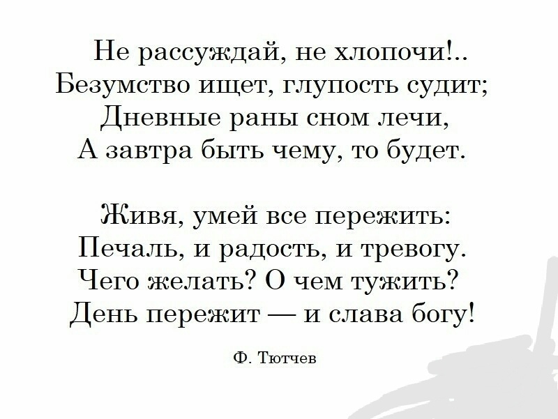 Дневник кондитера. День 10. “Девушка из отдела продаж” - Моё, Сочи, Адлер, Санкт-Петербург, Россия, Бизнес, Длиннопост