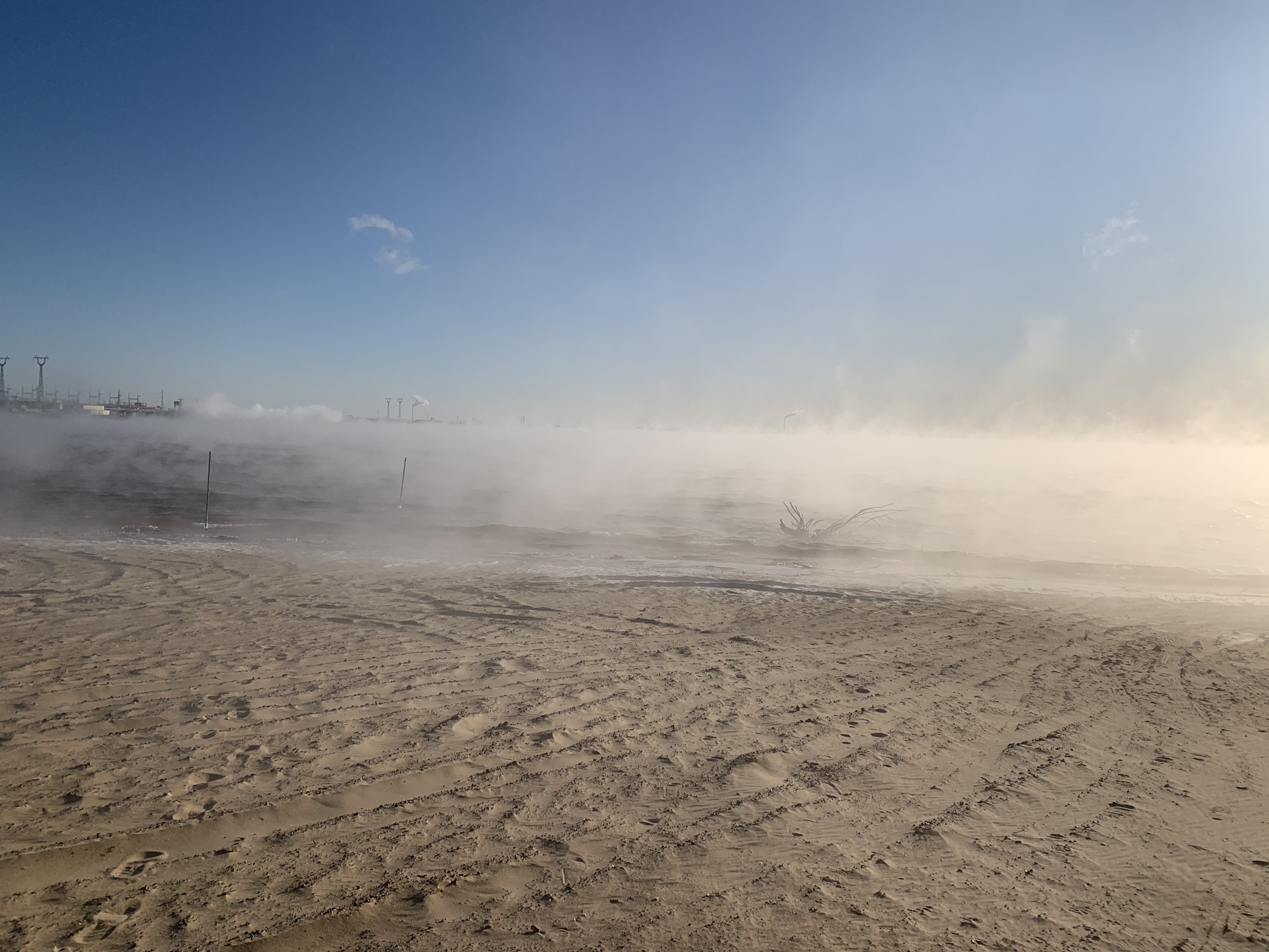 When the weather suggests it's time to put on your underpants. - My, Dog, Volgograd, freezing, Longpost