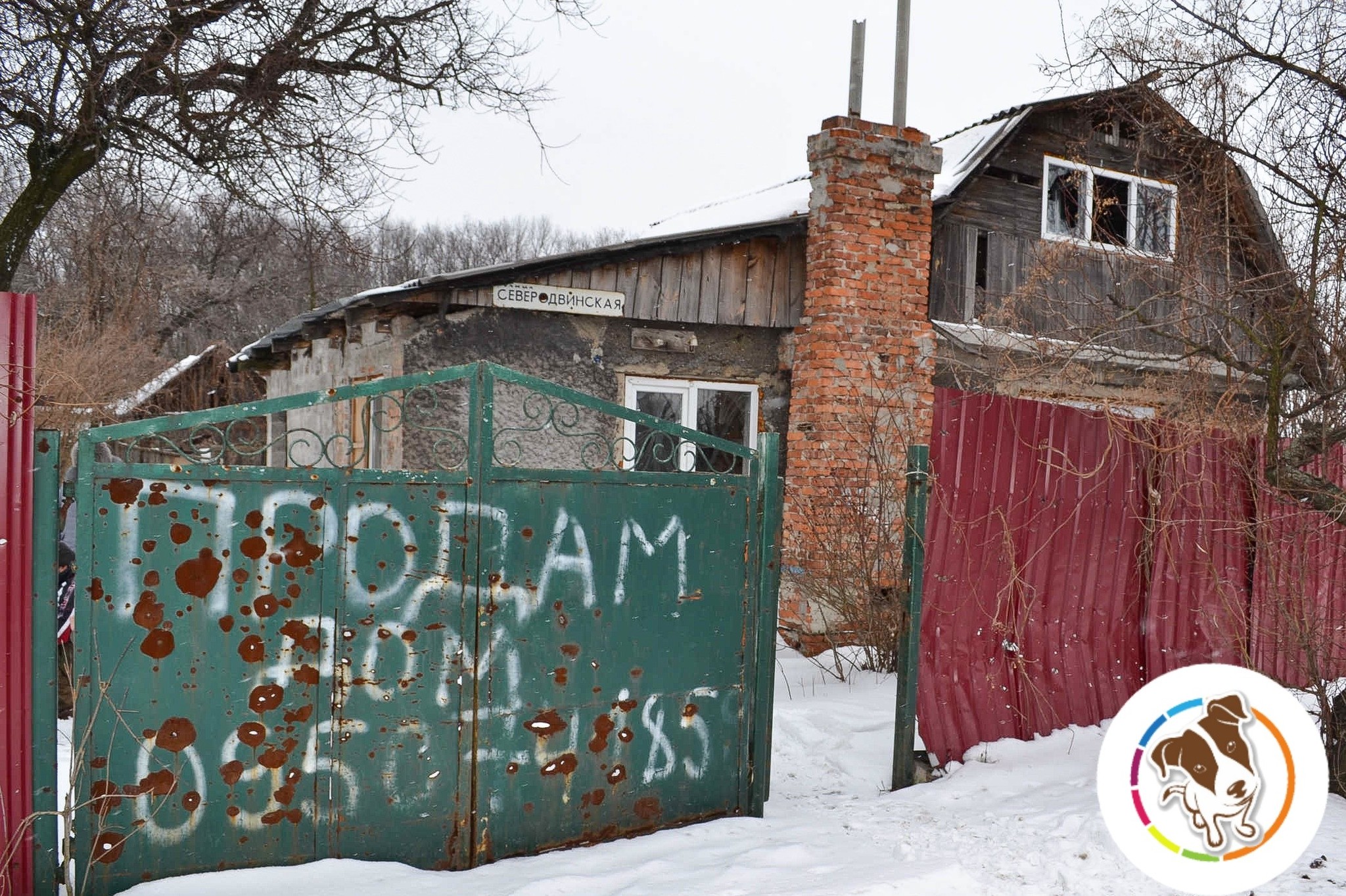 Хозяин бросил трёх собак на цепи охранять разрушенный дом | Пикабу