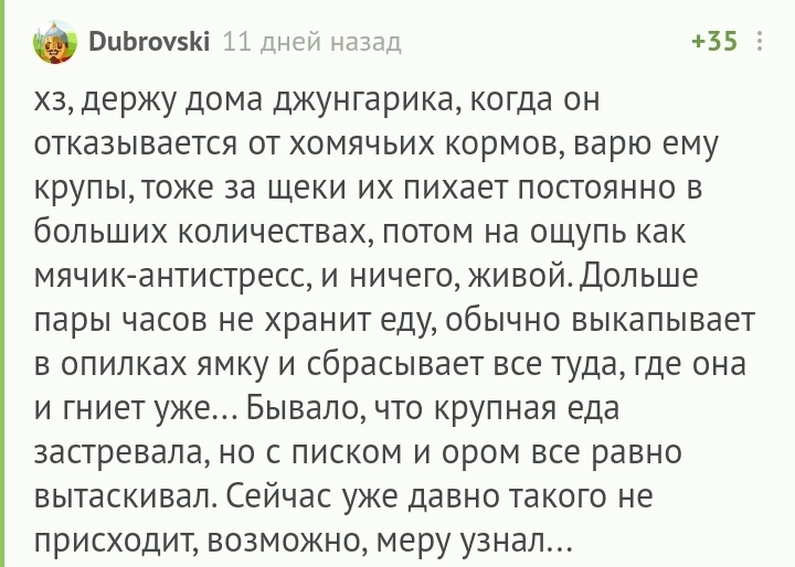 Однажды ты перевернешься и не сможешь встать - Комментарии на Пикабу, Хомяк, Гифка, Длиннопост