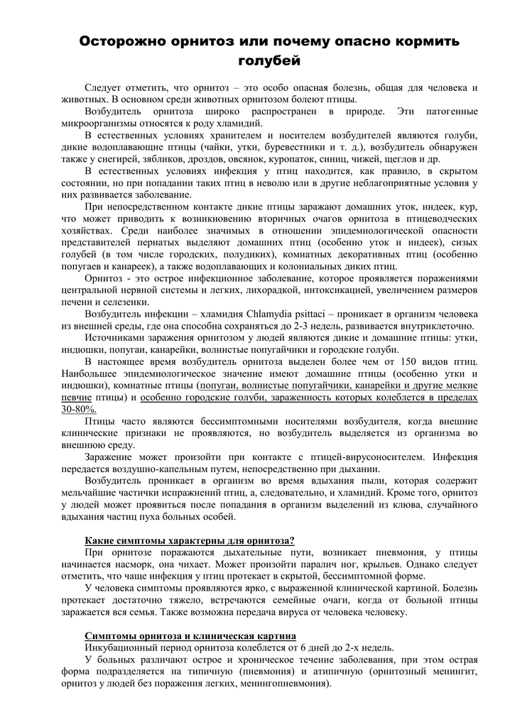 Соседи наши или проблема? - Голубь, Болезнь, Орнитоз, Город, Длиннопост