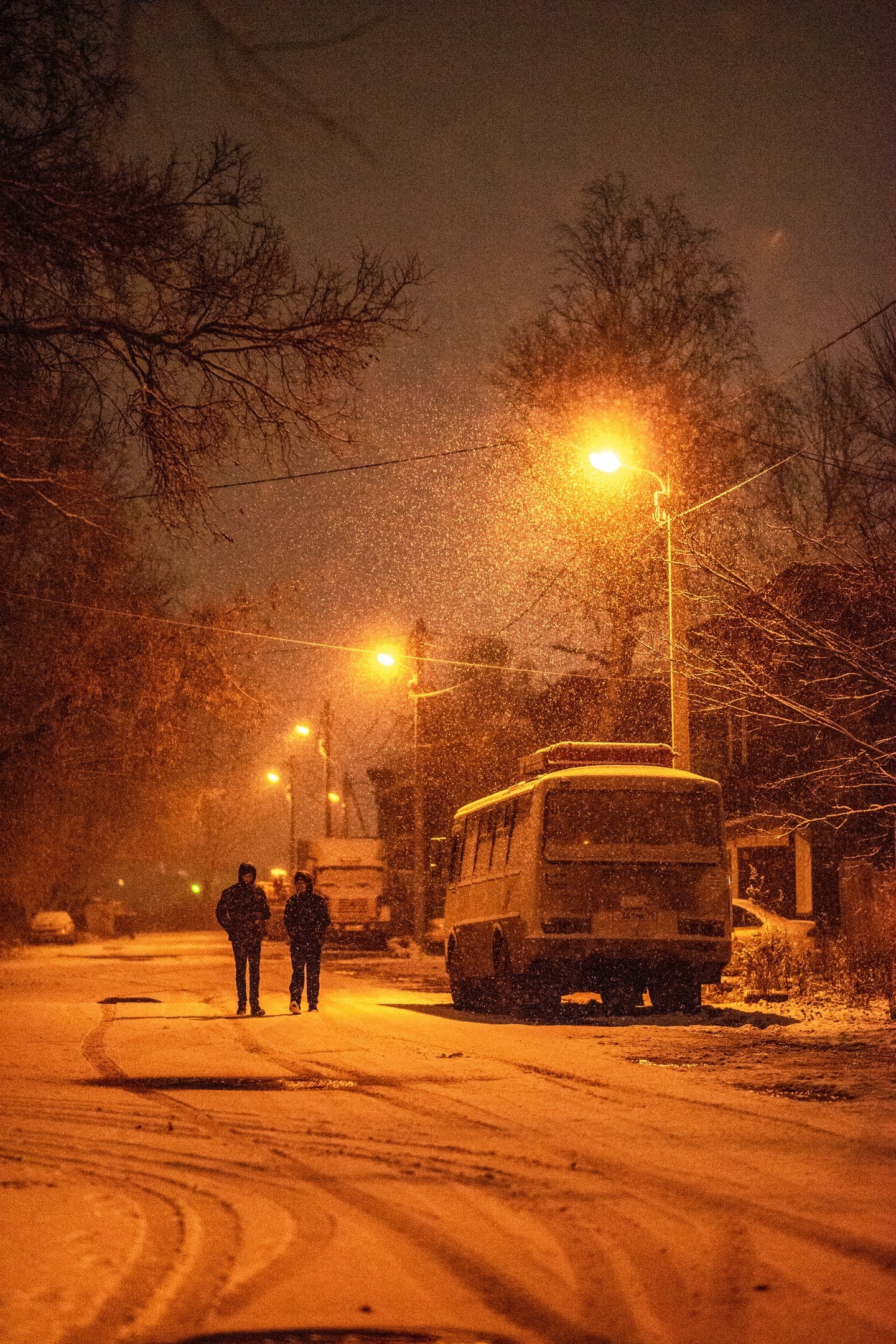 Night snowfall - My, The photo, Snow, Tomsk, Night, Bus, Longpost