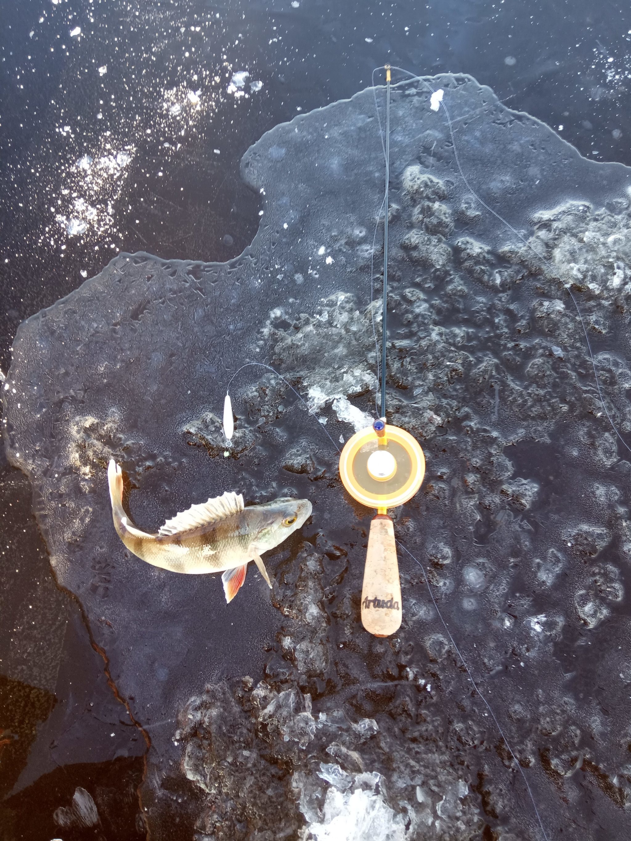 First Ice. - My, Fishing, Winter fishing, Spoon, Equalizer, Ice fishing, Longpost