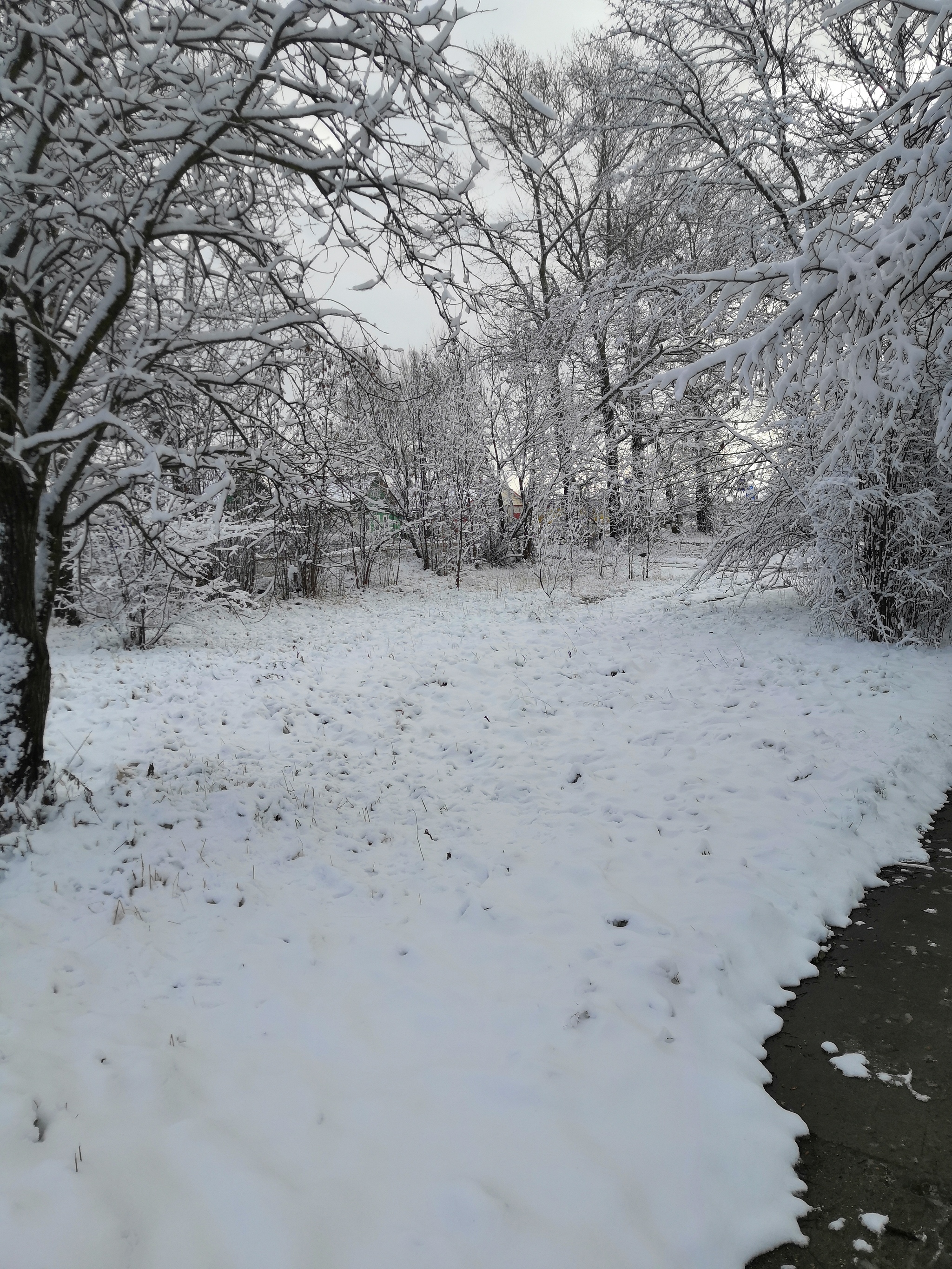 Winter landscape - My, Winter, freezing, Snow, Longpost