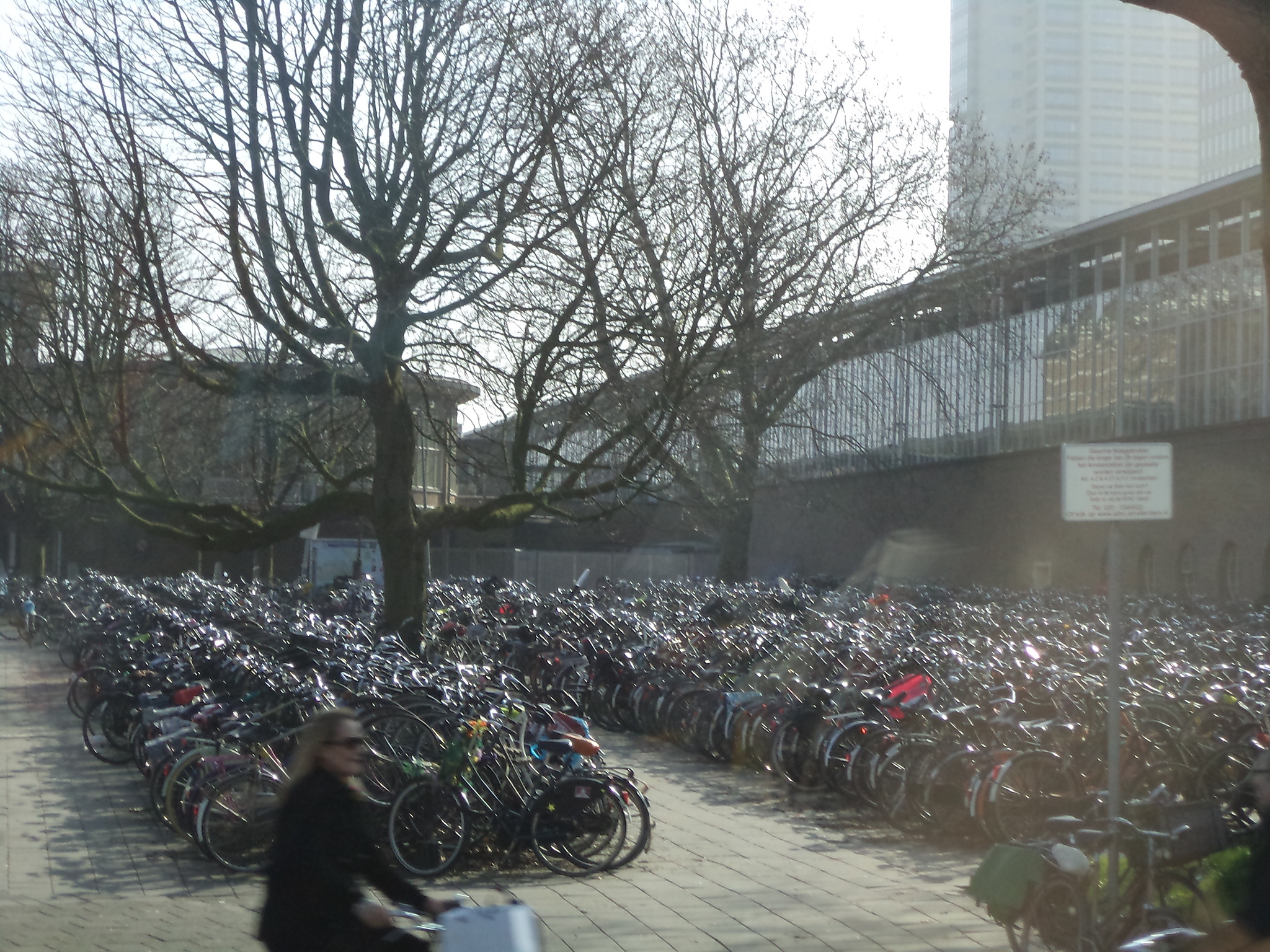 Bicycle parking in Amsterdam - My, Amsterdam, Travels, Parking, A bike