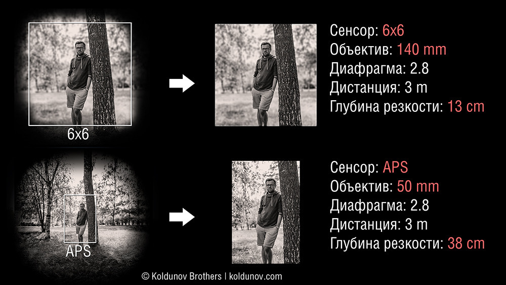 Как зависит глубина резкости от размера сенсора фотоаппарата - Моё, Фотография, Боке, Глубина резкости, Видео, Длиннопост