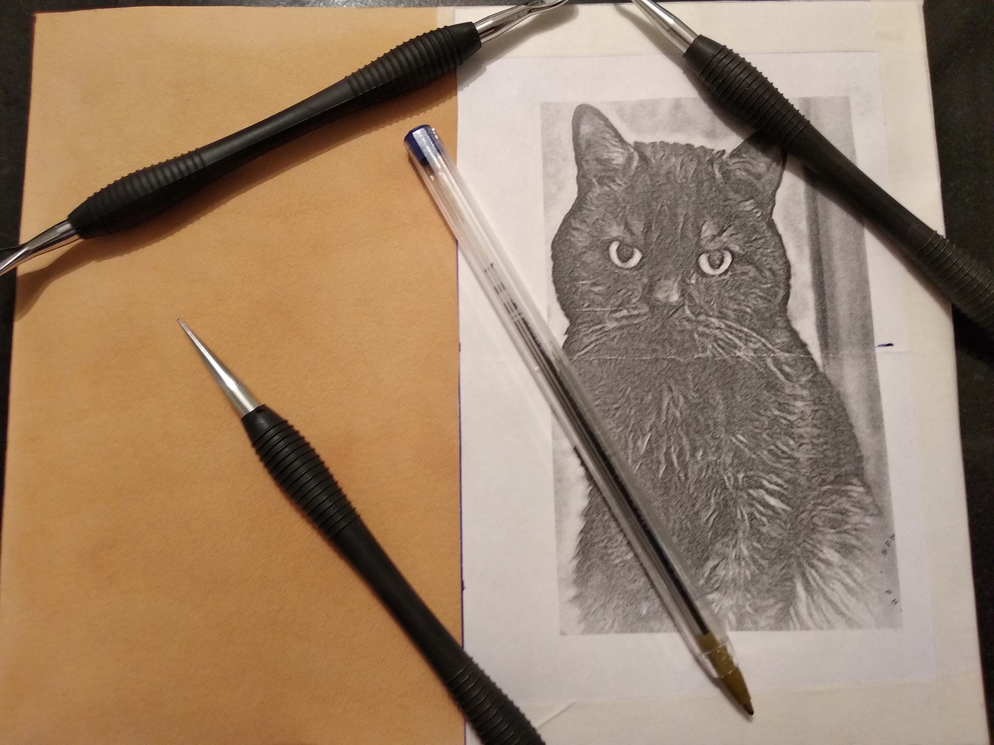 Evolution of a cat - My, Leather, cat, Needlework without process, GIF, Longpost