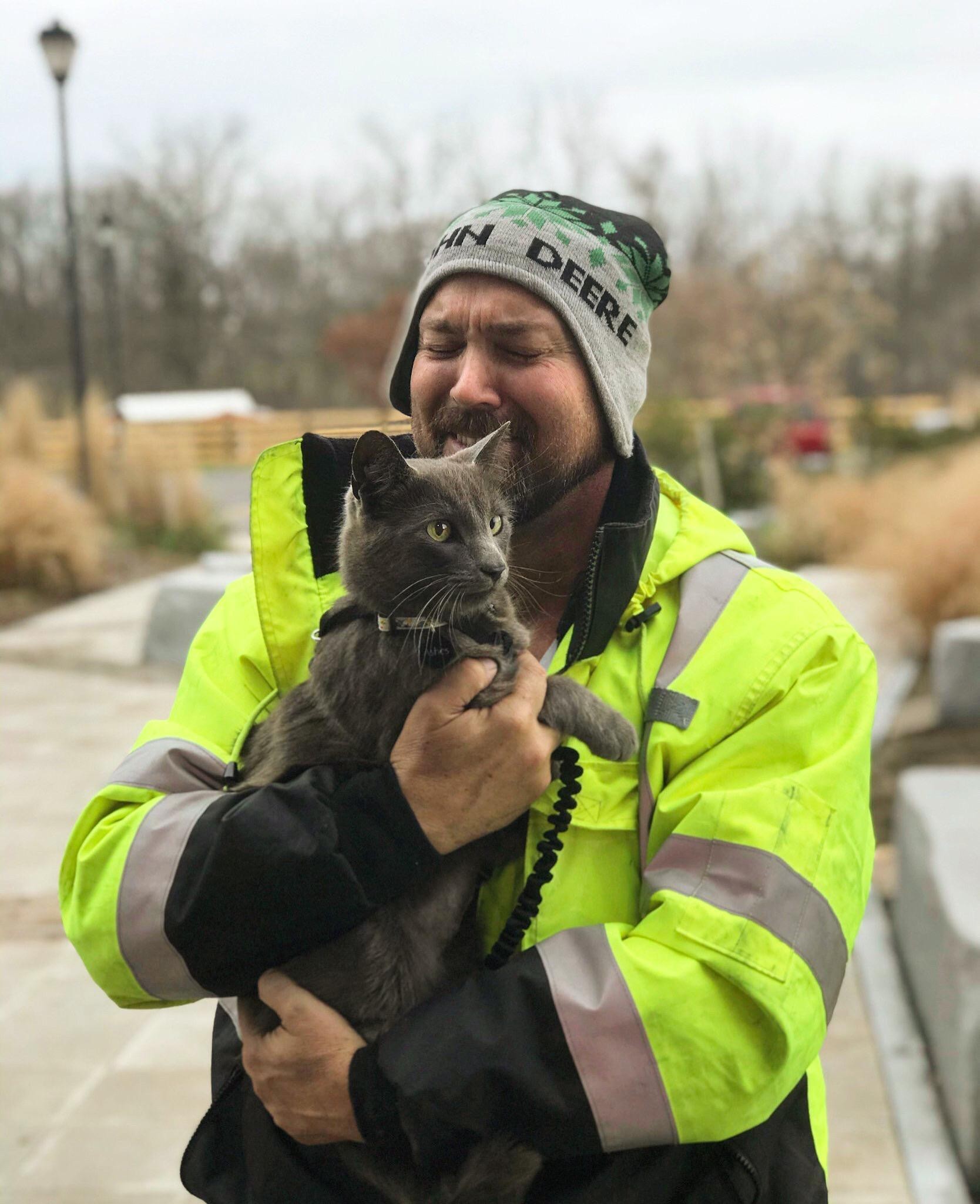 Thanks to a microchip, the owner found his cat in New York, who was lost in Ohio. - Reddit, Translation, Life stories, cat