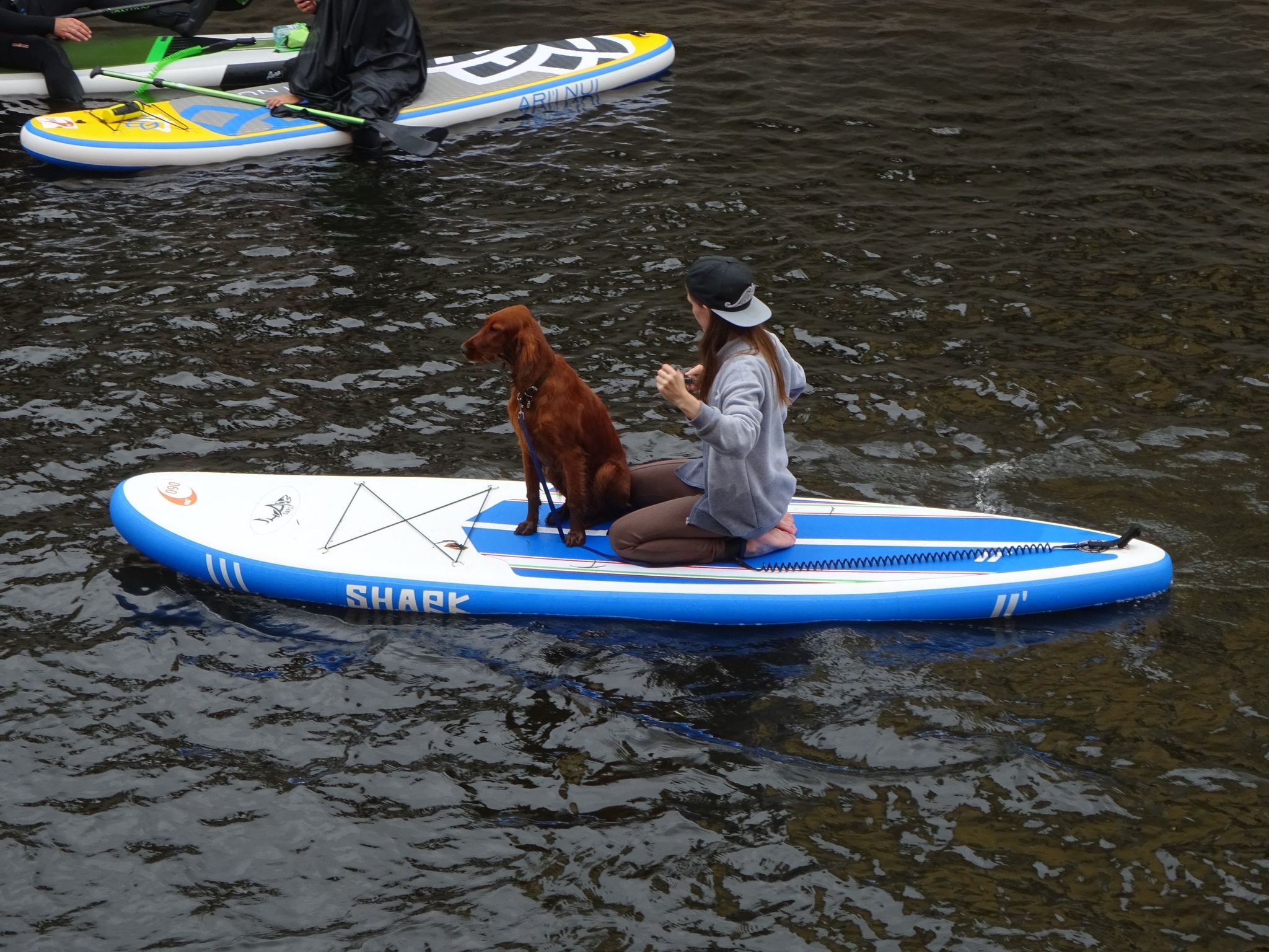 SUP surfing in St. Petersburg - My, SUPsurfing, Saint Petersburg, The photo, Video, Longpost