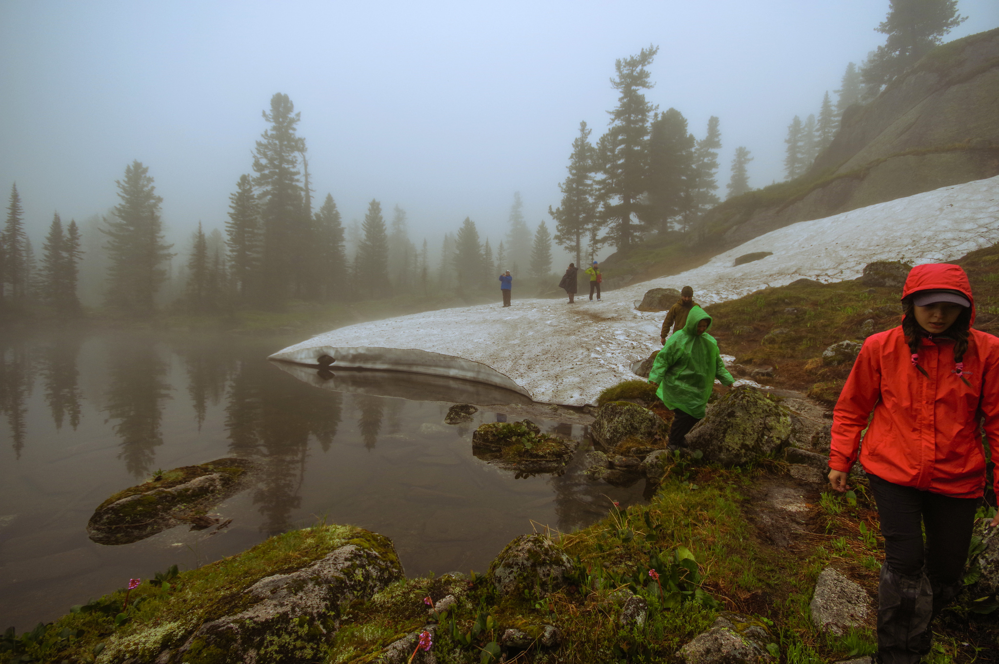 Through mists and seas of flowers - My, Ergaki, Travels, Michael, Holidays in Russia, Leisure, Flowers, Fog, The photo, Longpost