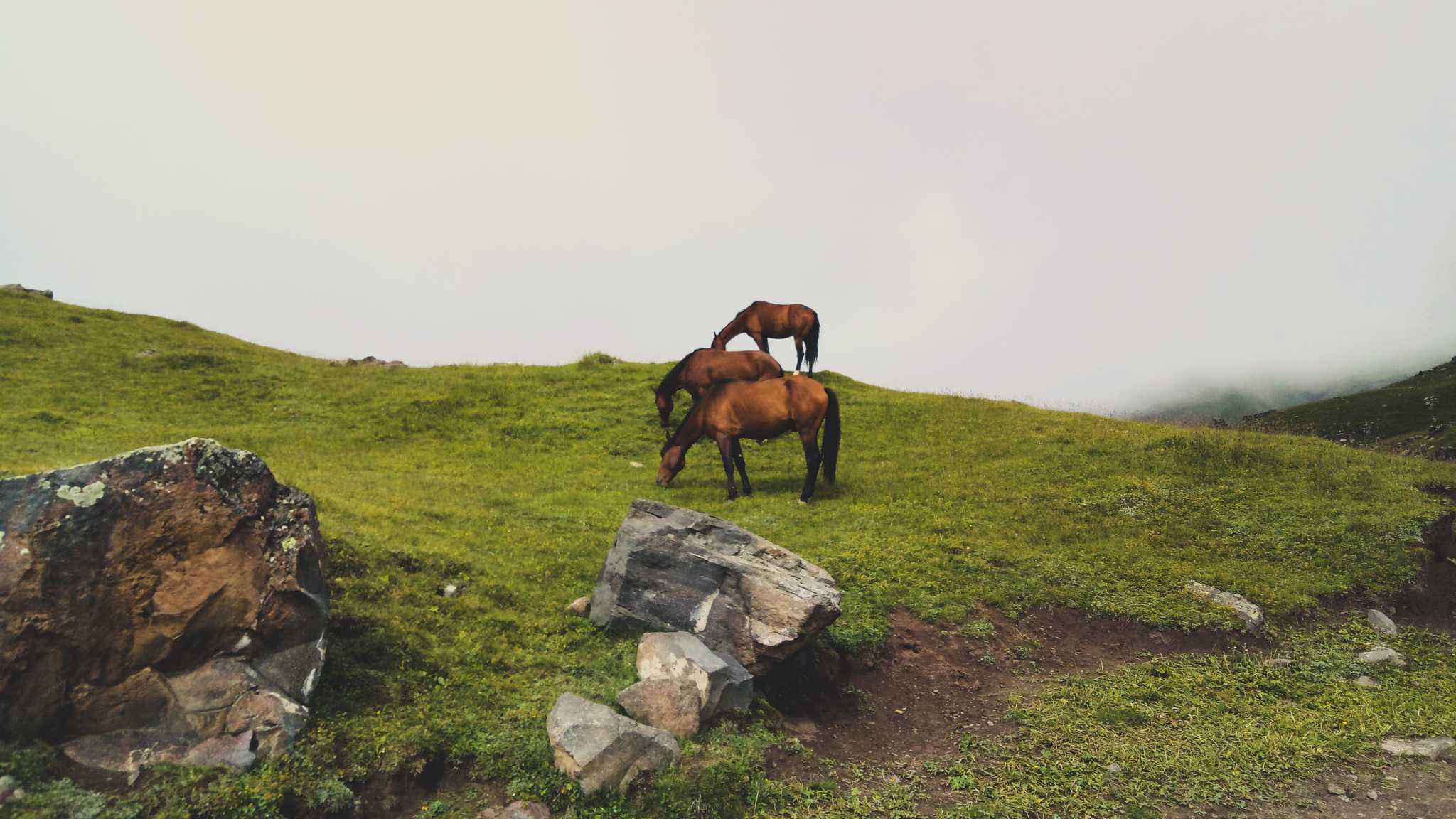 Jily-Su. CBD - My, Russia, Caucasus, Kabardino-Balkaria, Jily-Su, Nature, The mountains, Travels, Longpost