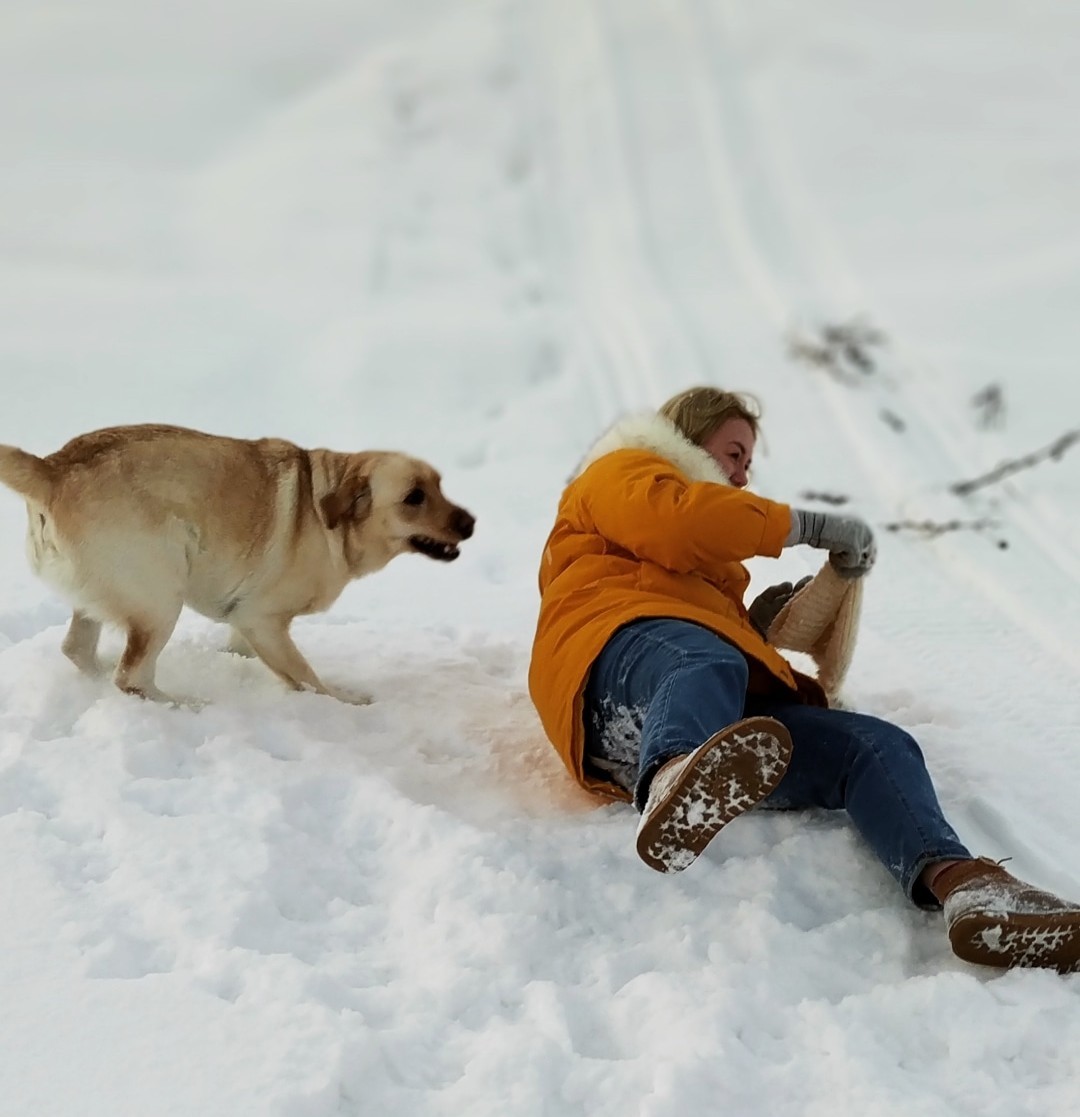 The story of how I wanted to take a photo with my dog - My, Dog, PHOTOSESSION, Longpost, Labrador