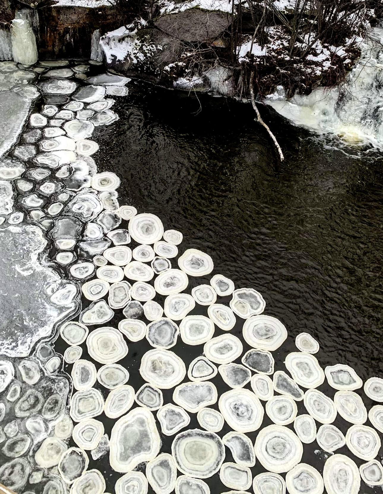 I saw floating ice pancakes on the lake today - Ice, The photo, Lake