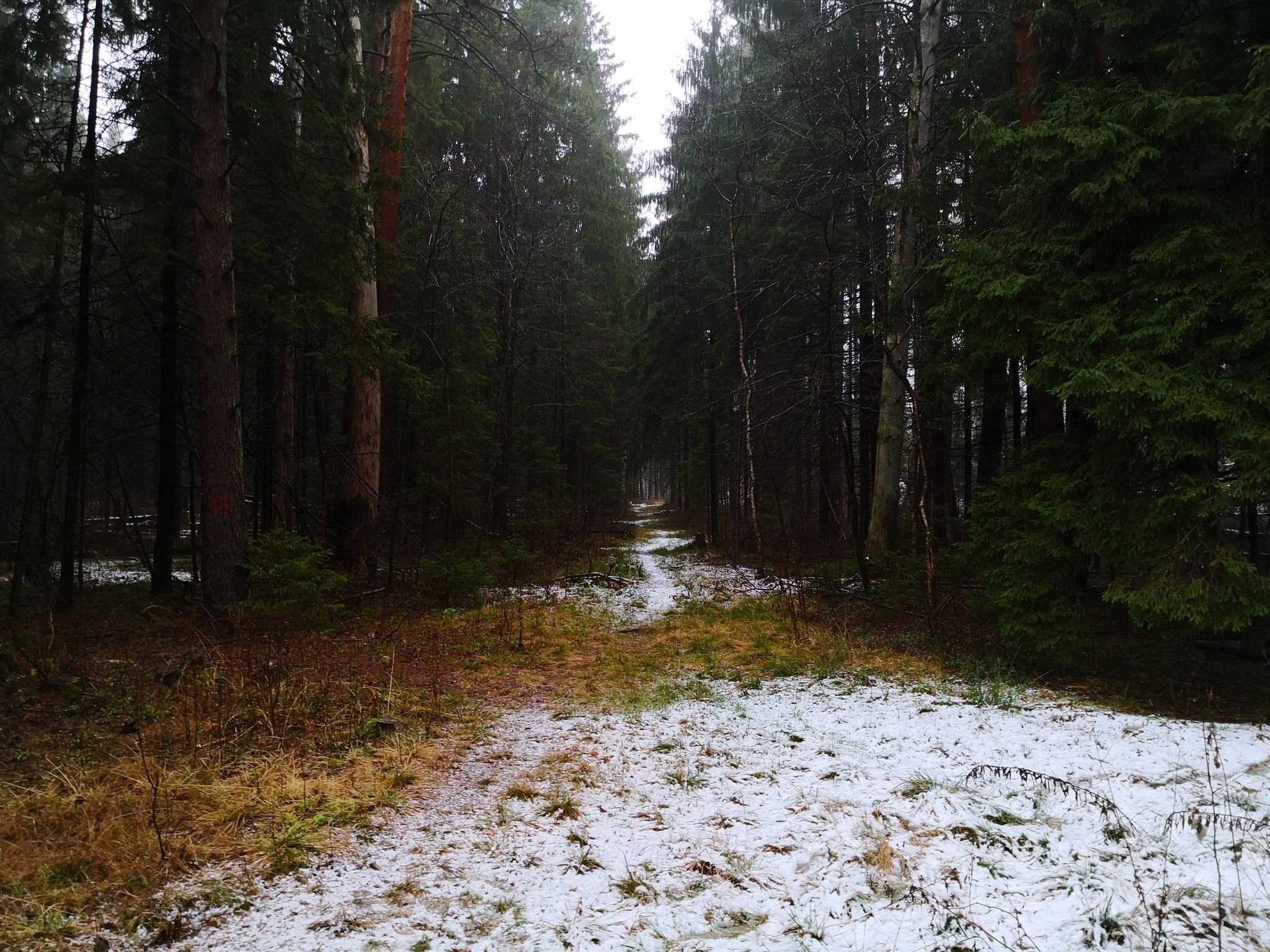 Last day of November - My, The photo, Landscape, Offroad, Nature, Krasnogorsk, Longpost