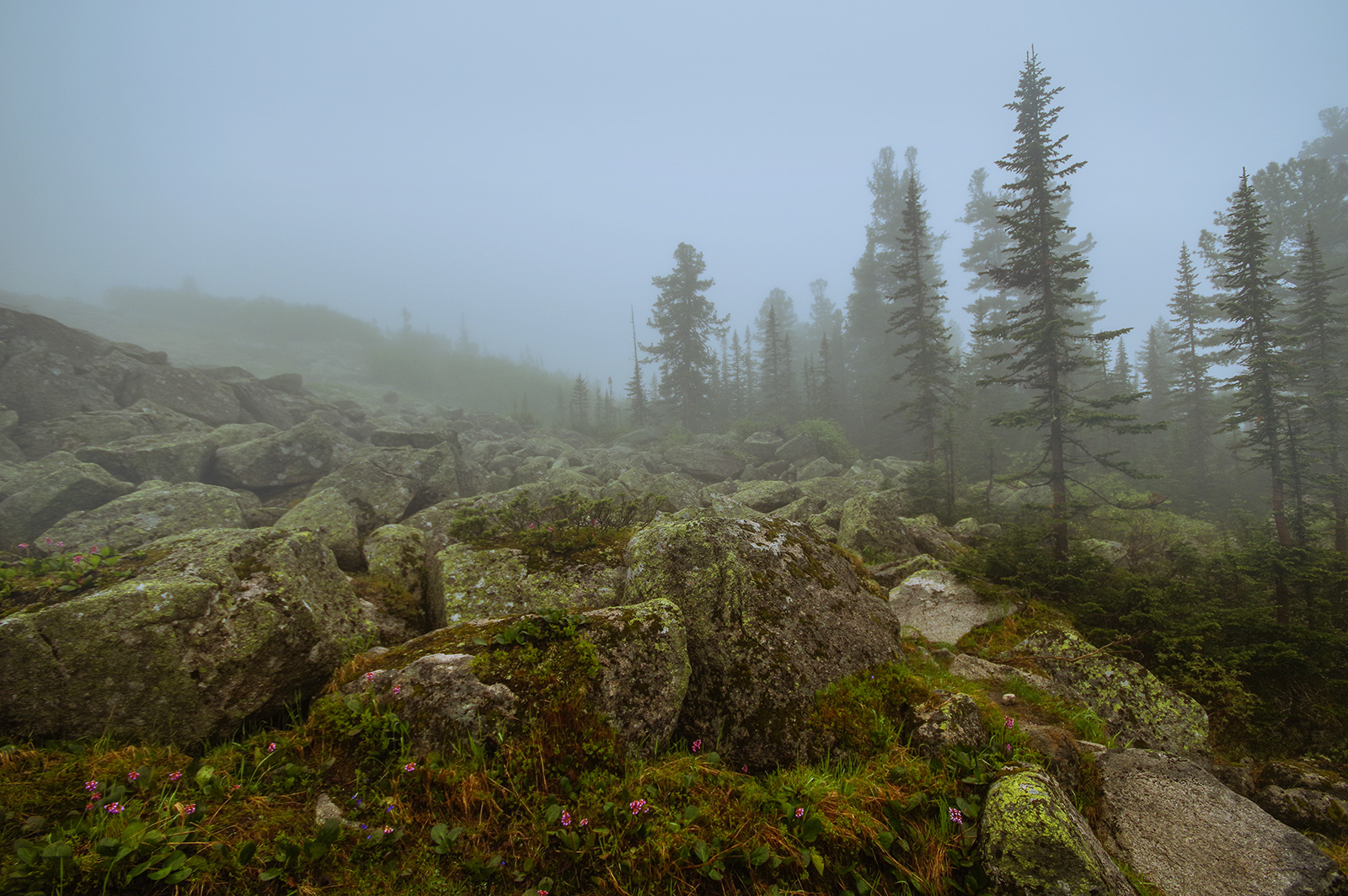 Why did we go to the Taiga Eye? - My, Ergaki, Travels, Mountain tourism, Michael, Health, The photo, Landscape, wildlife, Longpost