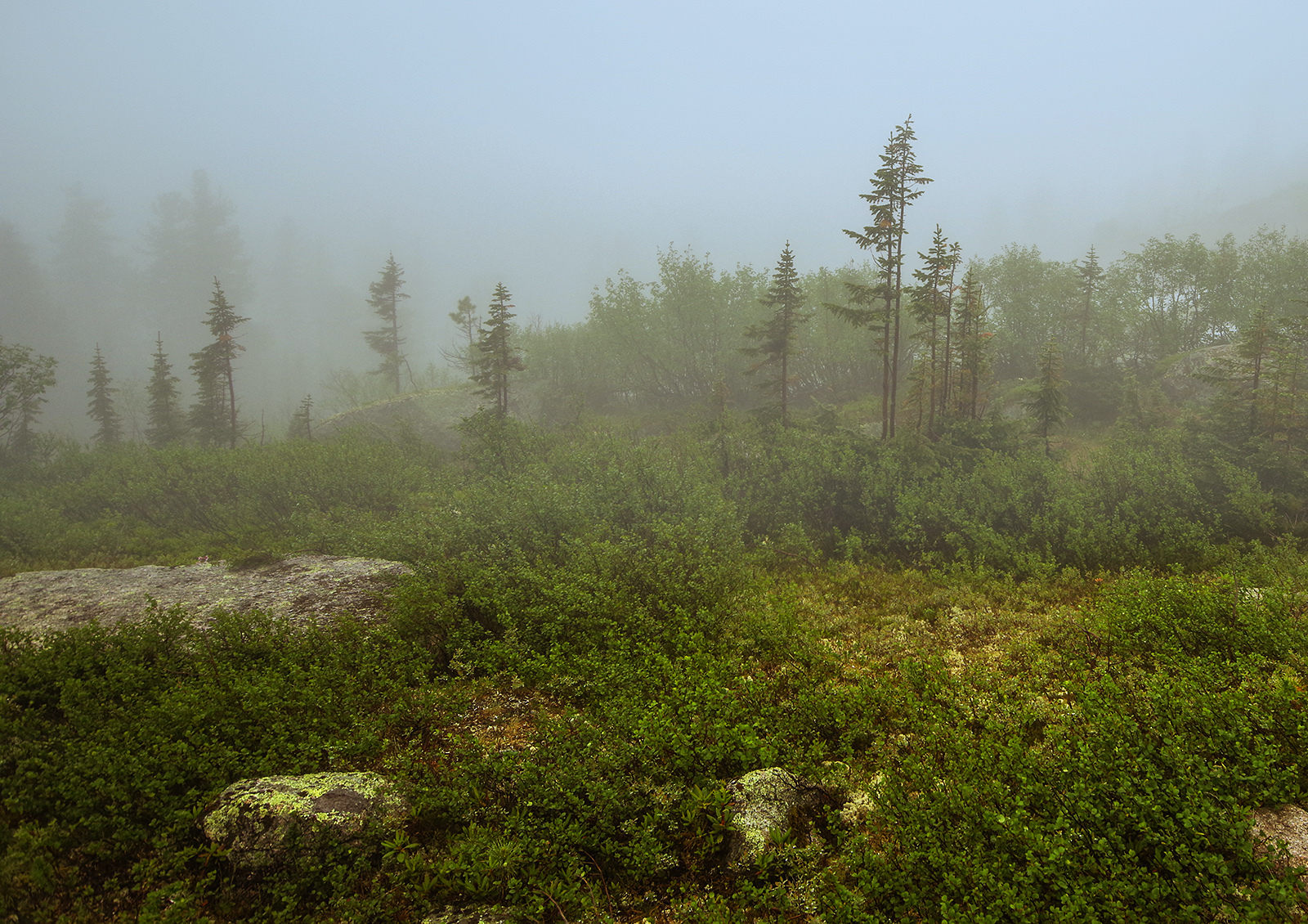 Why did we go to the Taiga Eye? - My, Ergaki, Travels, Mountain tourism, Michael, Health, The photo, Landscape, wildlife, Longpost