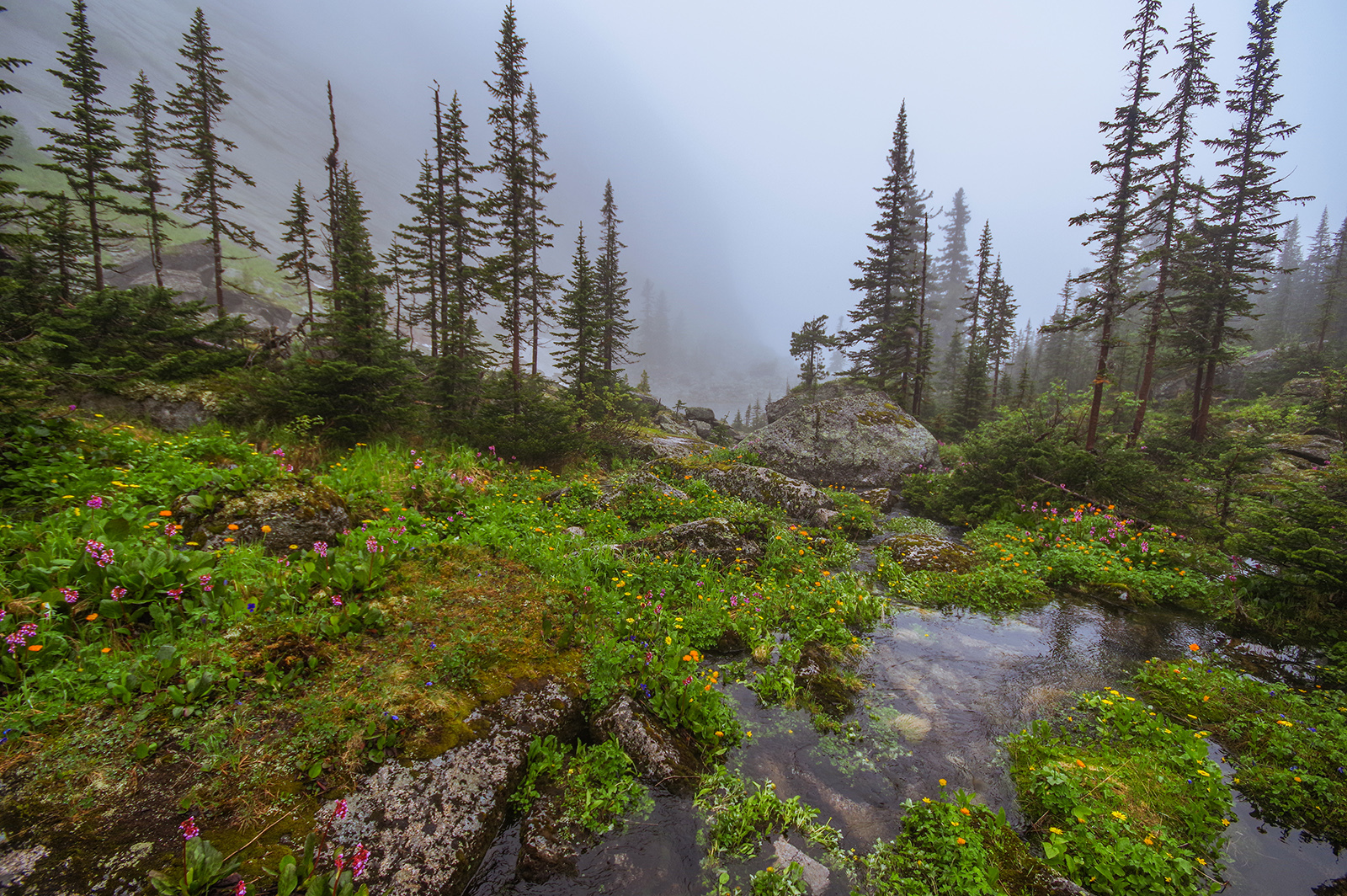 Why did we go to the Taiga Eye? - My, Ergaki, Travels, Mountain tourism, Michael, Health, The photo, Landscape, wildlife, Longpost