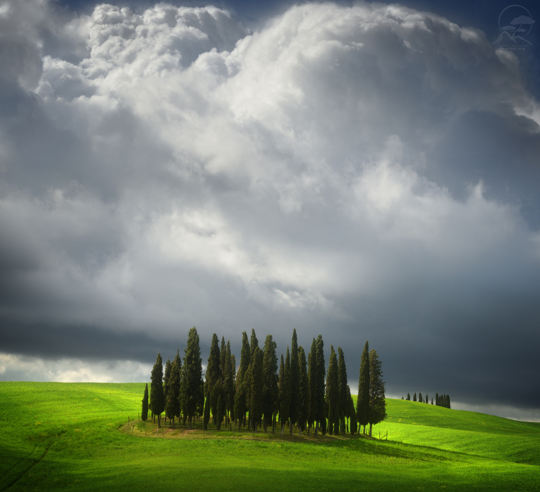 Tuscan cypress trees - beauty, Nature