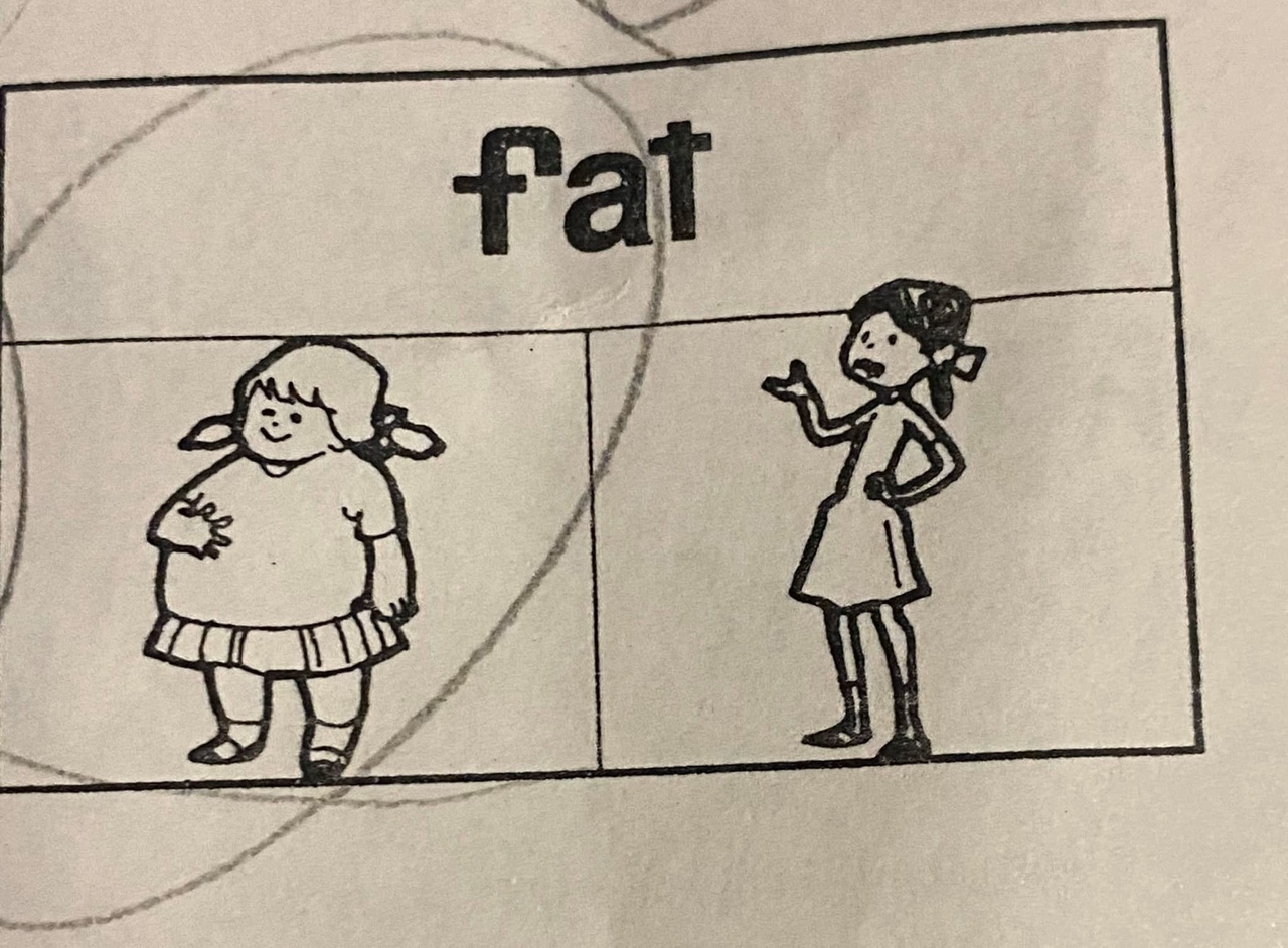 The mother of a first-grader was outraged by a homework assignment in which the children had to choose and circle a “fat” girl drawn with a pencil. - USA, Text, news, Discrimination, Longpost, Fatty, Excess weight, Homework