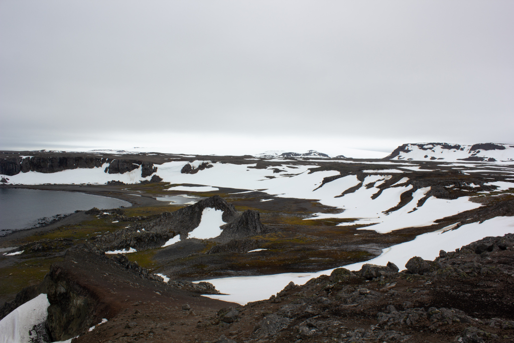 King George Island is the green part of Antarctica. Part 1 - My, Antarctica, Green Island, Работа мечты, Longpost