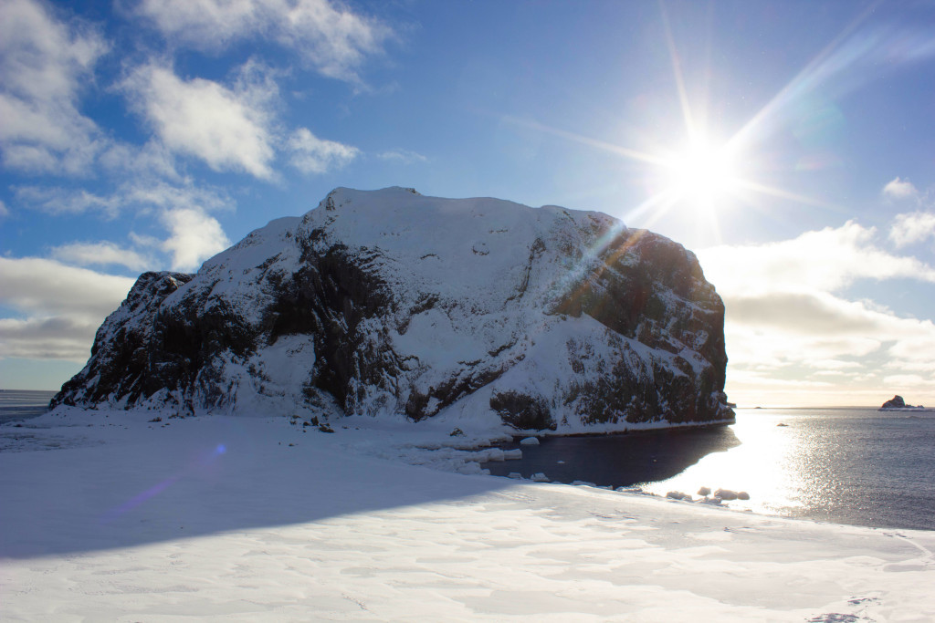 King George Island is the green part of Antarctica. Part 1 - My, Antarctica, Green Island, Работа мечты, Longpost