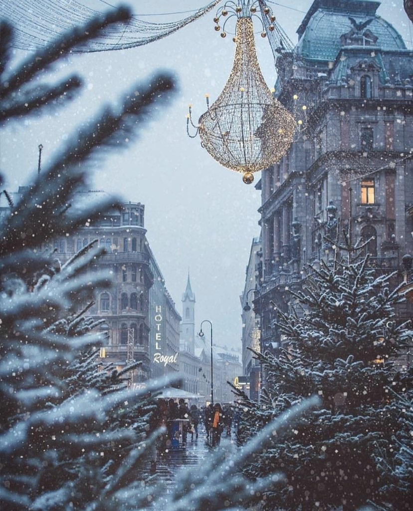 Festive Vienna - Vein, Austria, beauty