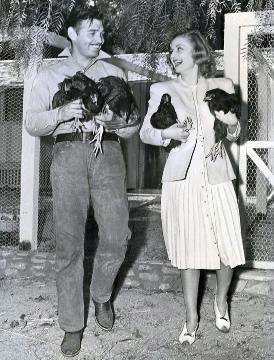 Love and pigeons - Hollywood, Actors and actresses, Longpost, Carol Lombard, Clark Gable