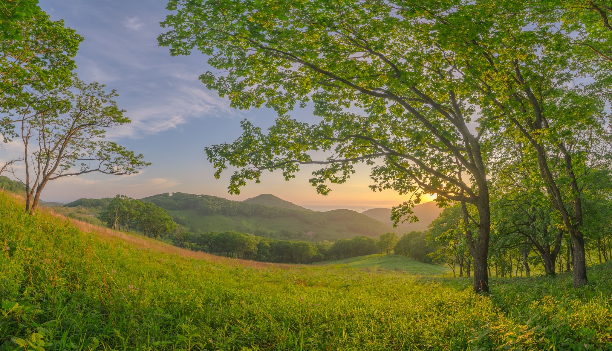 Evening on the hills of Manchuria - My, Primorsky Krai, Дальний Восток, Find, Beginning photographer, The photo, Sunset, Landscape