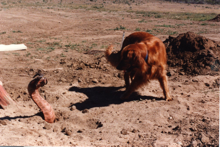 Behind the scenes of Tremors - My, Tremors of the earth, Movies, Comedy, Photos from filming, Actors and actresses, Interesting, Behind the scenes, Classic, GIF, Longpost