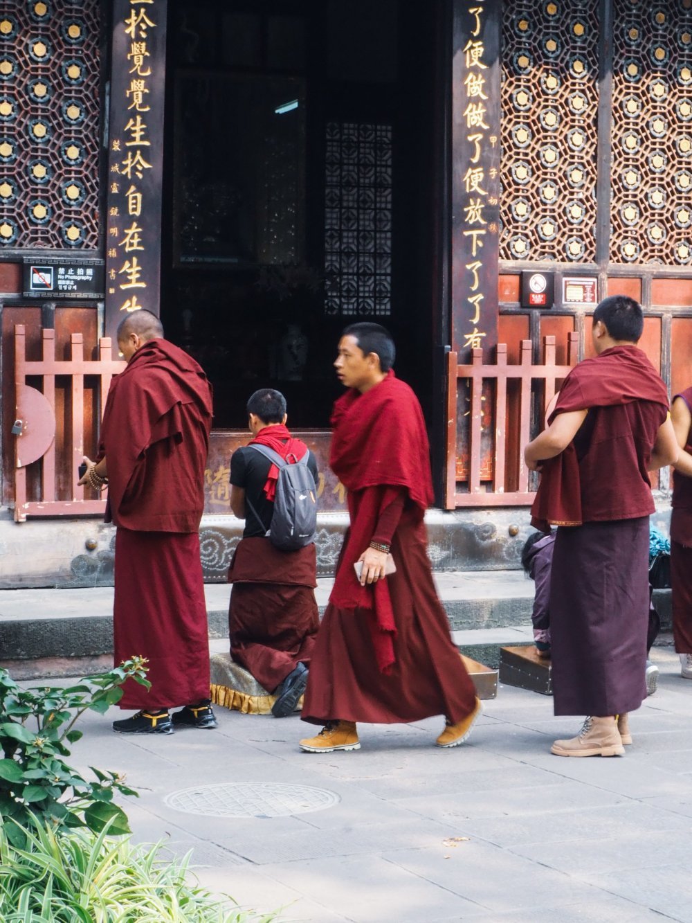 Chengdu - the birthplace of pandas - My, China, Travels, Tourism, Longpost