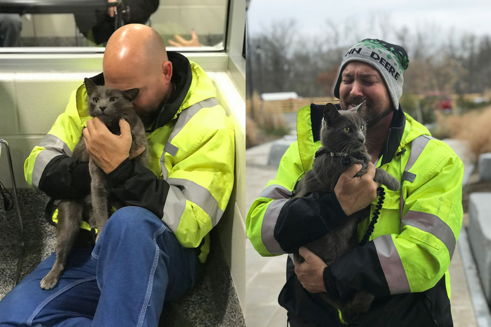 The trucker cried like a child when he saw the cat partner he had lost. - cat, Truckers, Pets, Milota, Kindness, USA