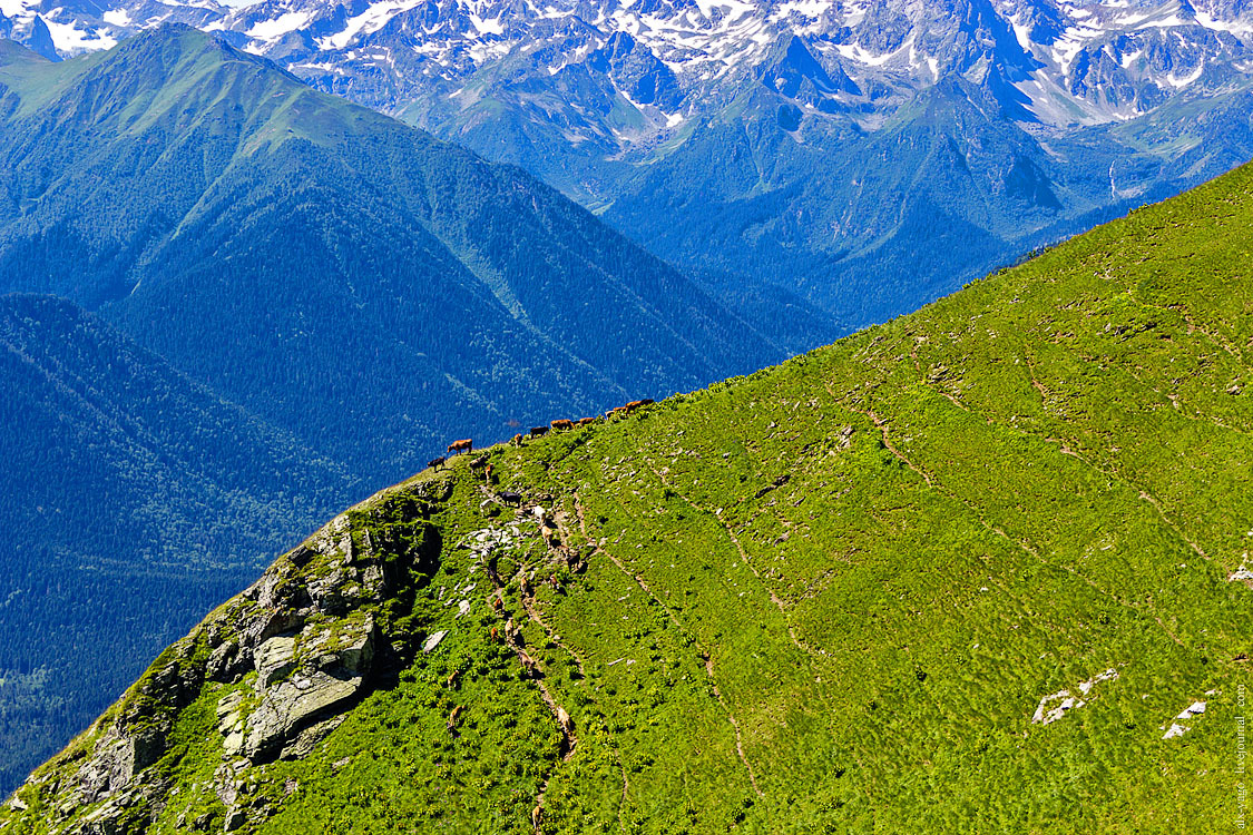 Caucasus. Chapter 2. Passes and Zaprudnoye Lake - My, Caucasus, Arkhyz, Travels, Tourism, The photo, Longpost