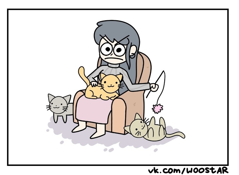 Cupid - Woostar, Comics, Longpost, Cupid, Relationship, Love, cat