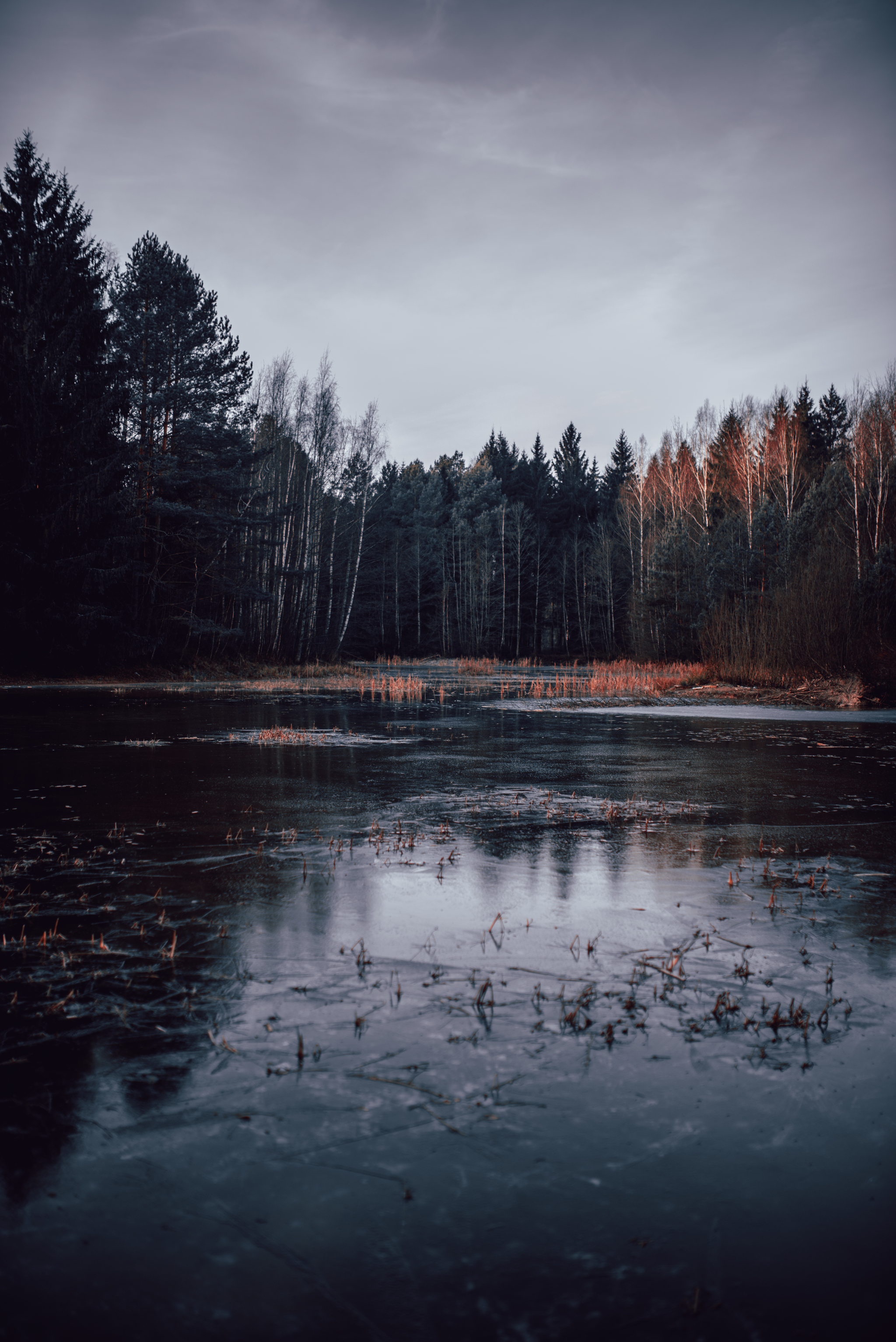 Ледяное озеро - Моё, Лед, Зима, Республика Беларусь, Фотография, Природа, Озеро, Закат, Лес, Длиннопост