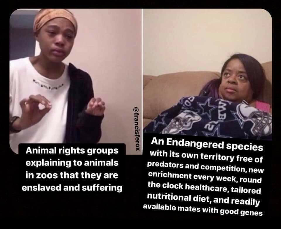 Zoo defenders - Animal defenders, Zoo, Animals, Humor, Ifunny