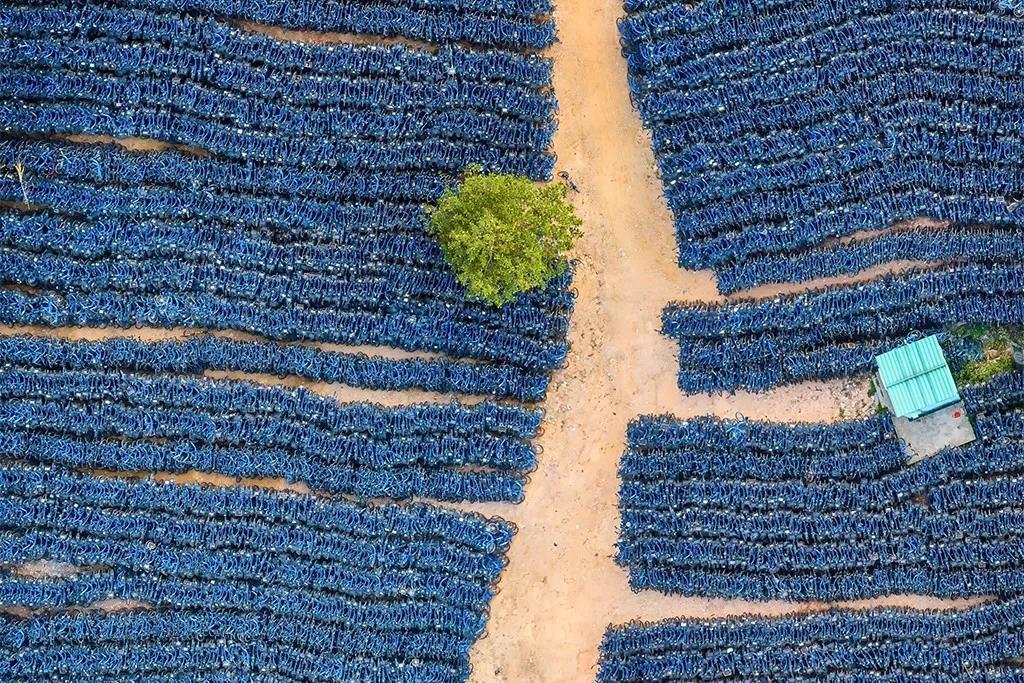 Giant bicycle cemeteries shown from drone - China, A bike, Dump, Longpost, Nature