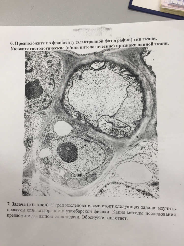 Hello again, peekaboo, I'm having problems with the session - Cytology, The science, Biology