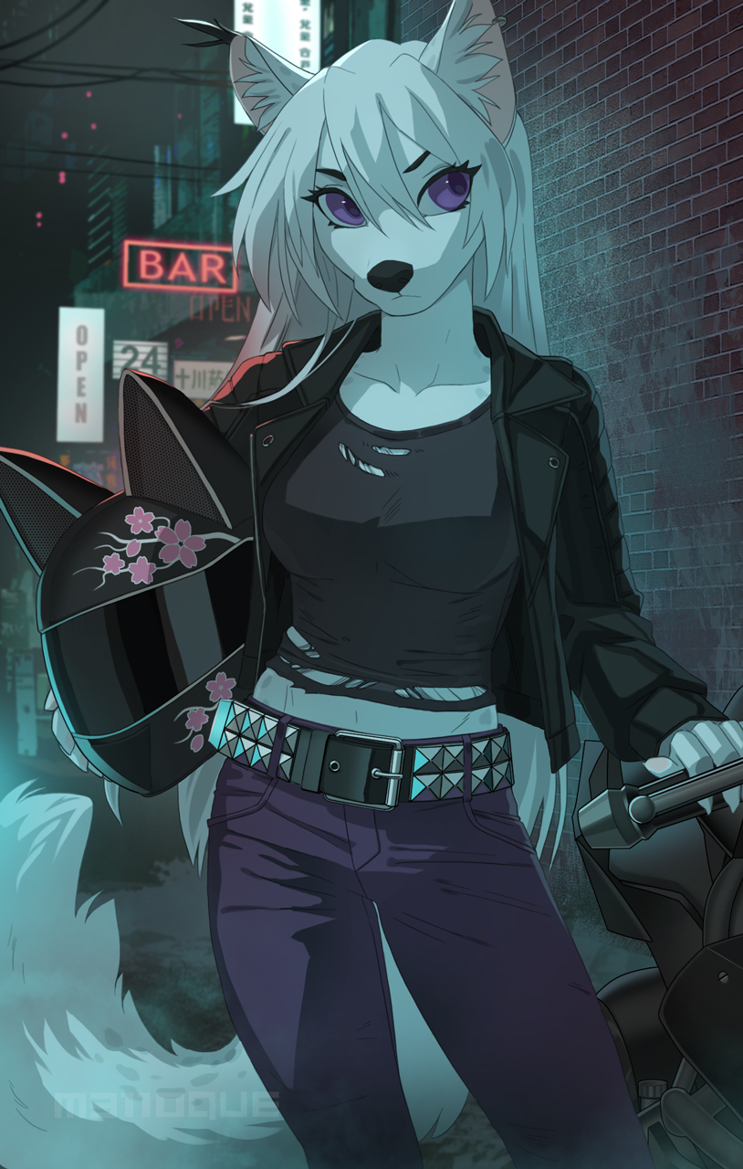 Racer - Melloque, Furry, Art, Night, Town