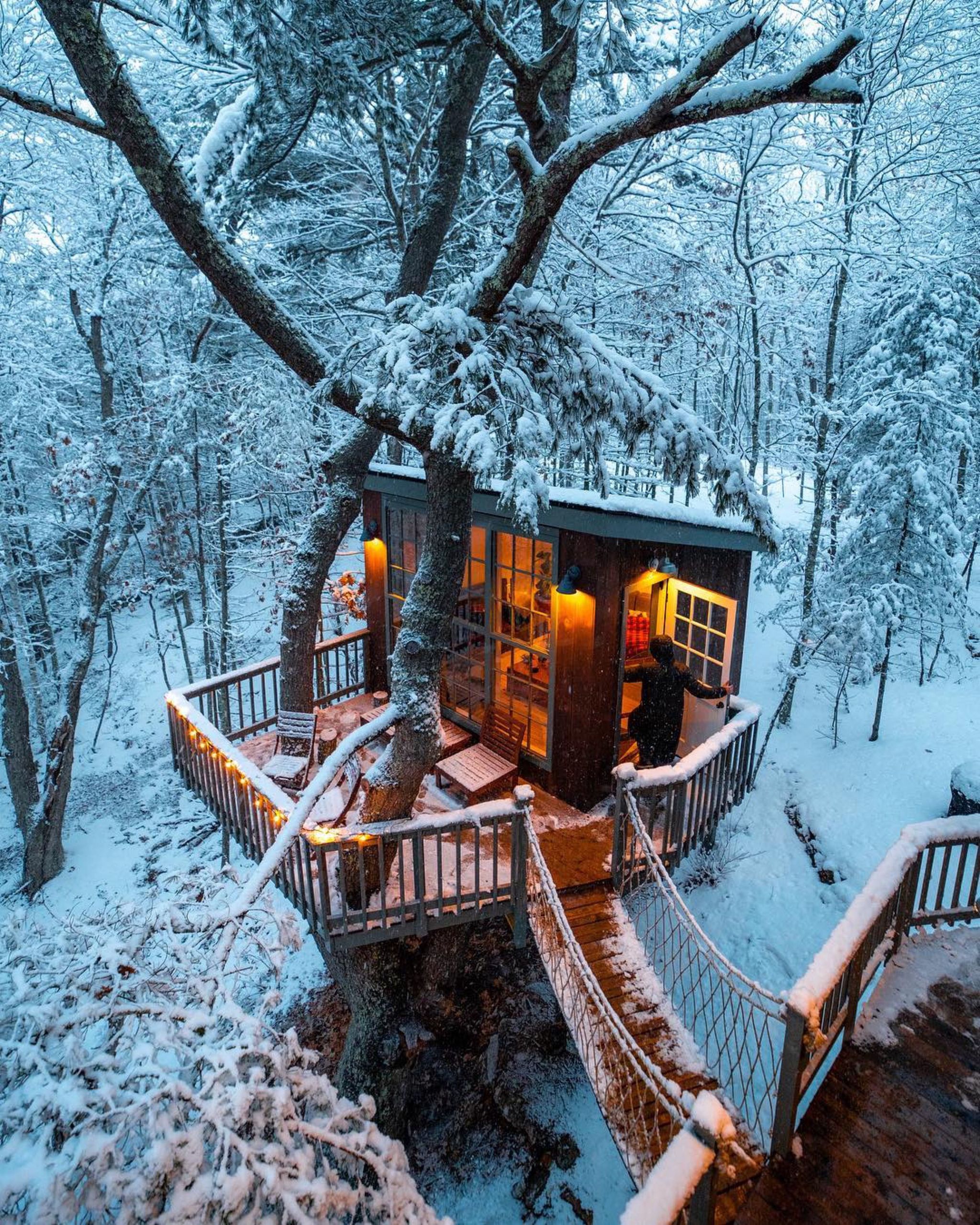 Visiting a fairy tale - Winter, Snow, Tree house