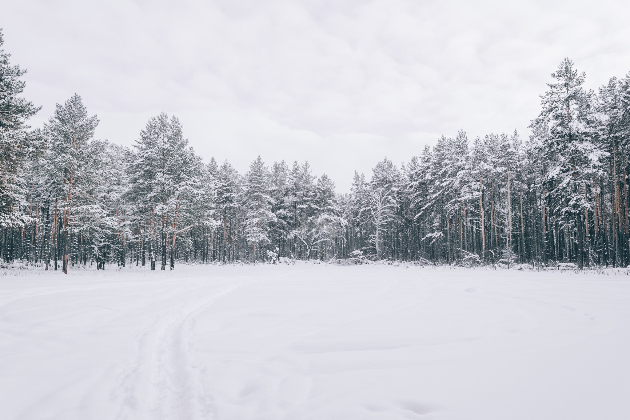 Winter post - The photo, Winter, Siberia, Longpost