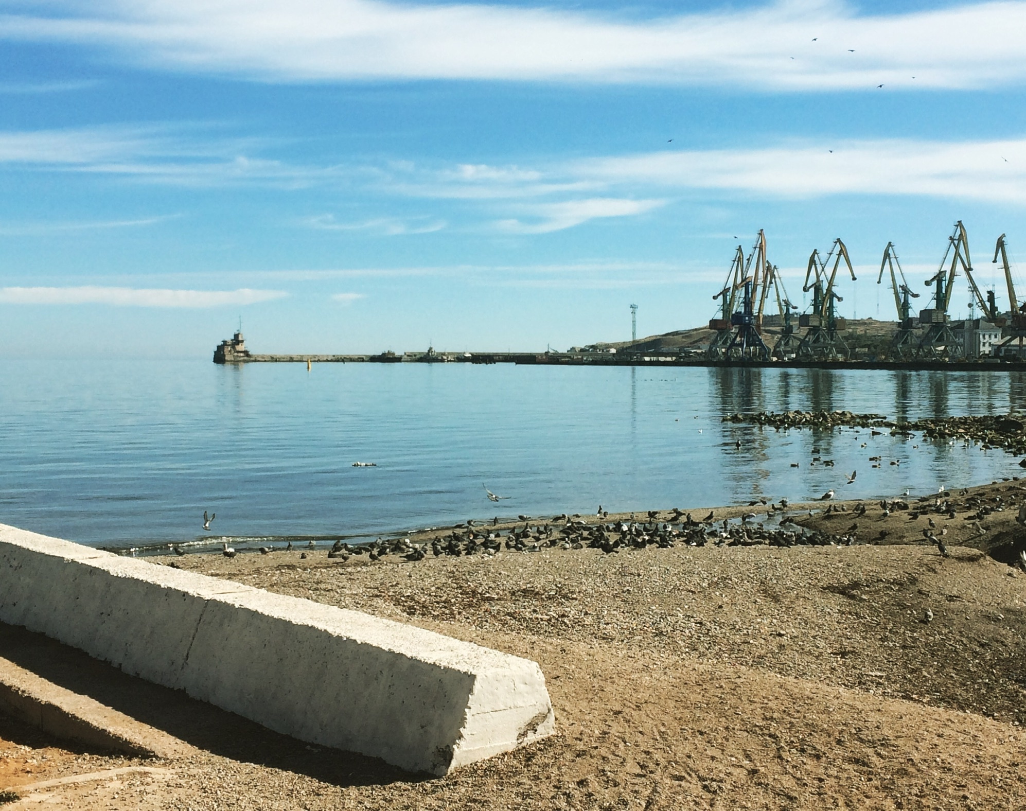 watering hole - My, The photo, Feodosia, Mobile photography