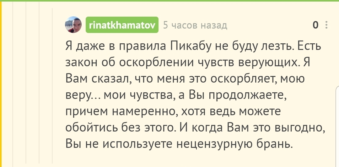 Оскорбление чувств верующего даже в посте про котиков - Моё, Скриншот, Религия, Мат, Длиннопост