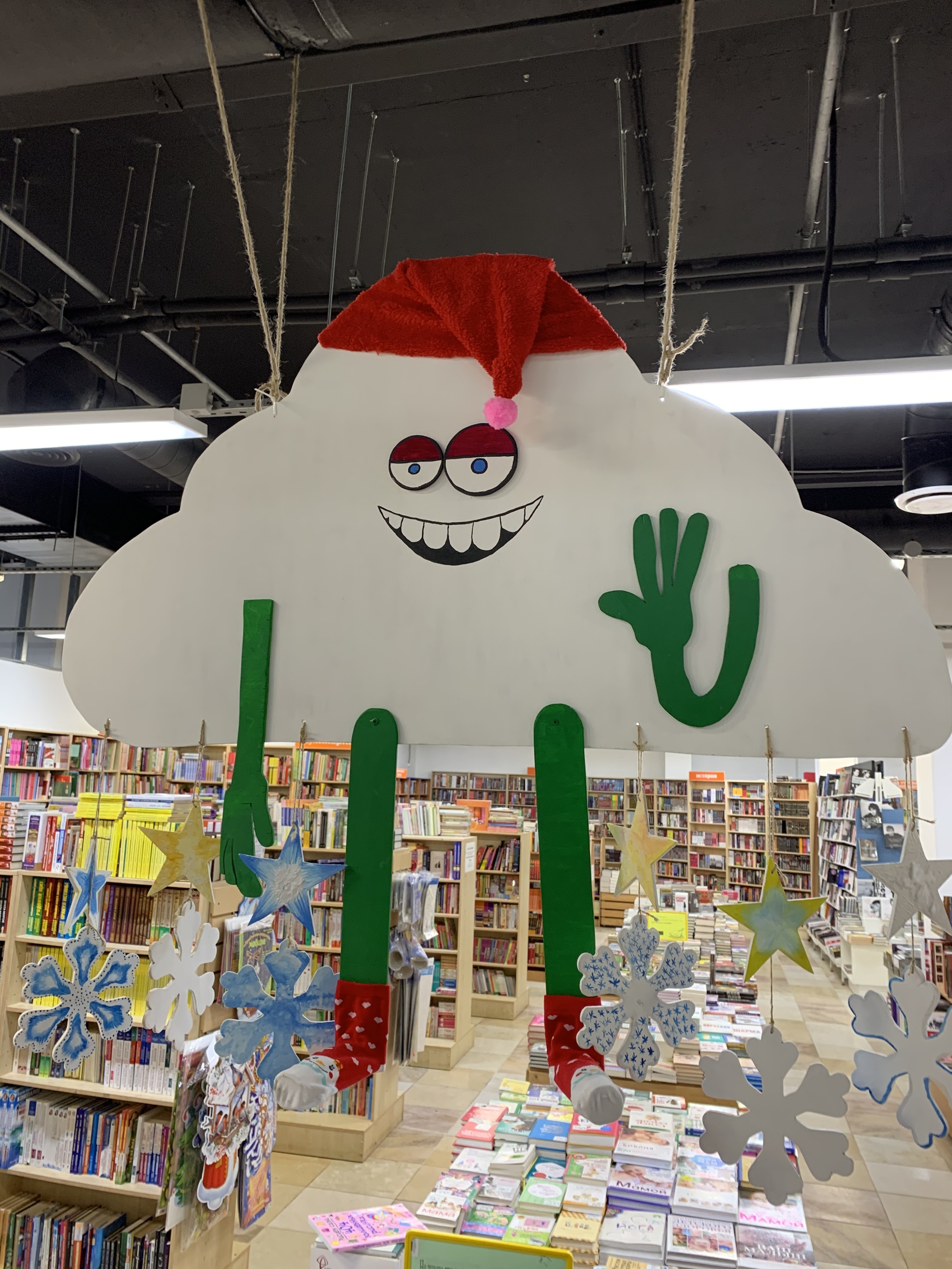 New Year's cloud in a bookstore in St. Petersburg - My, Snoop dogg, Stubbornness