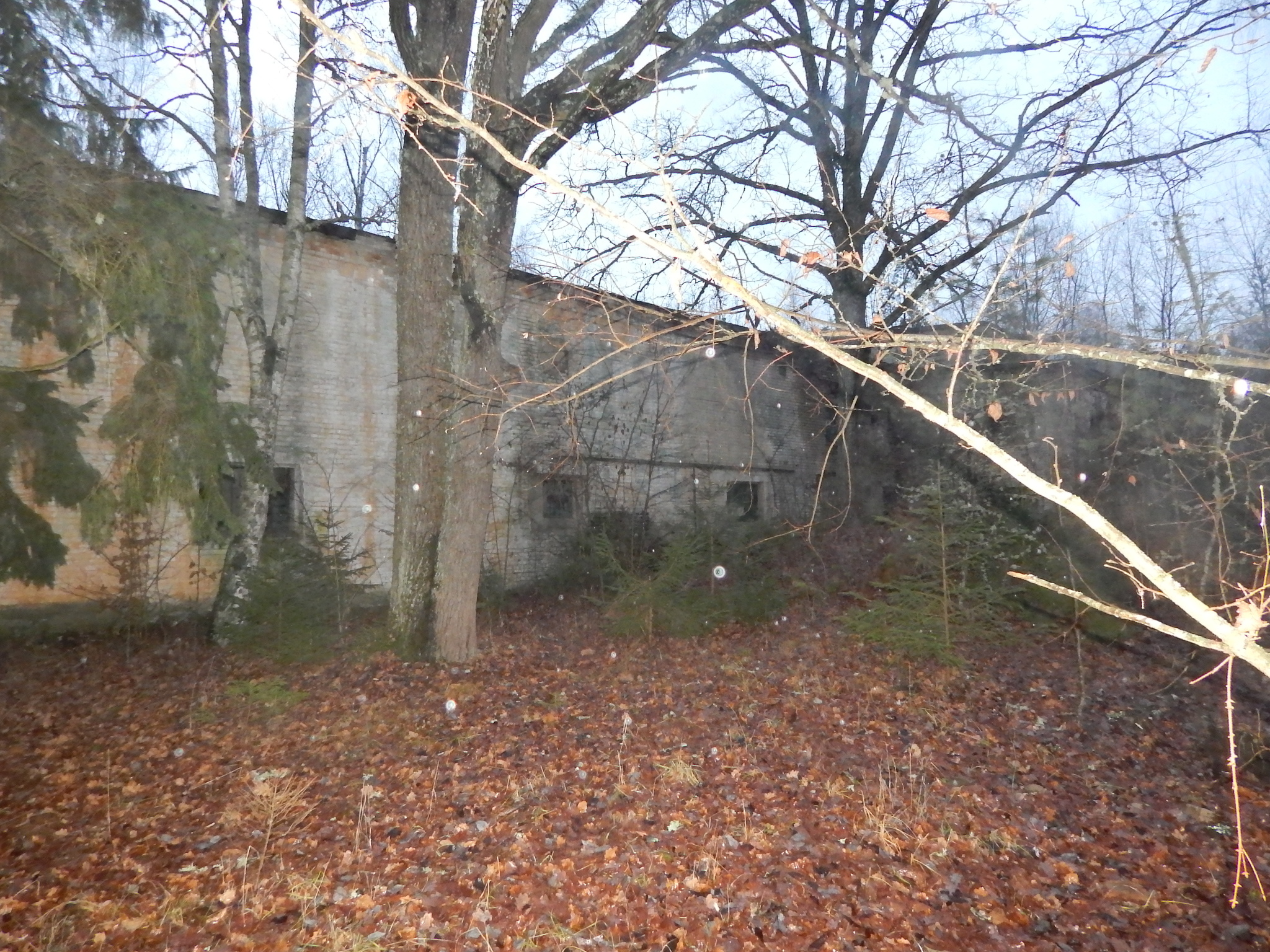 Abandoned Location of the 638th Autogen Regiment. Military unit No. 25585 Strategic Missile Forces of the USSR - My, Abandoned, the USSR, Military unit, Army, Iron curtain, Video, Longpost