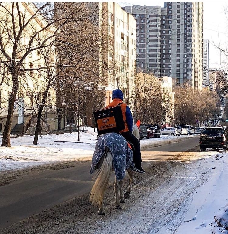 When you didn't pass your license - Delivery, Food delivery, Horses, Khabarovsk, Video