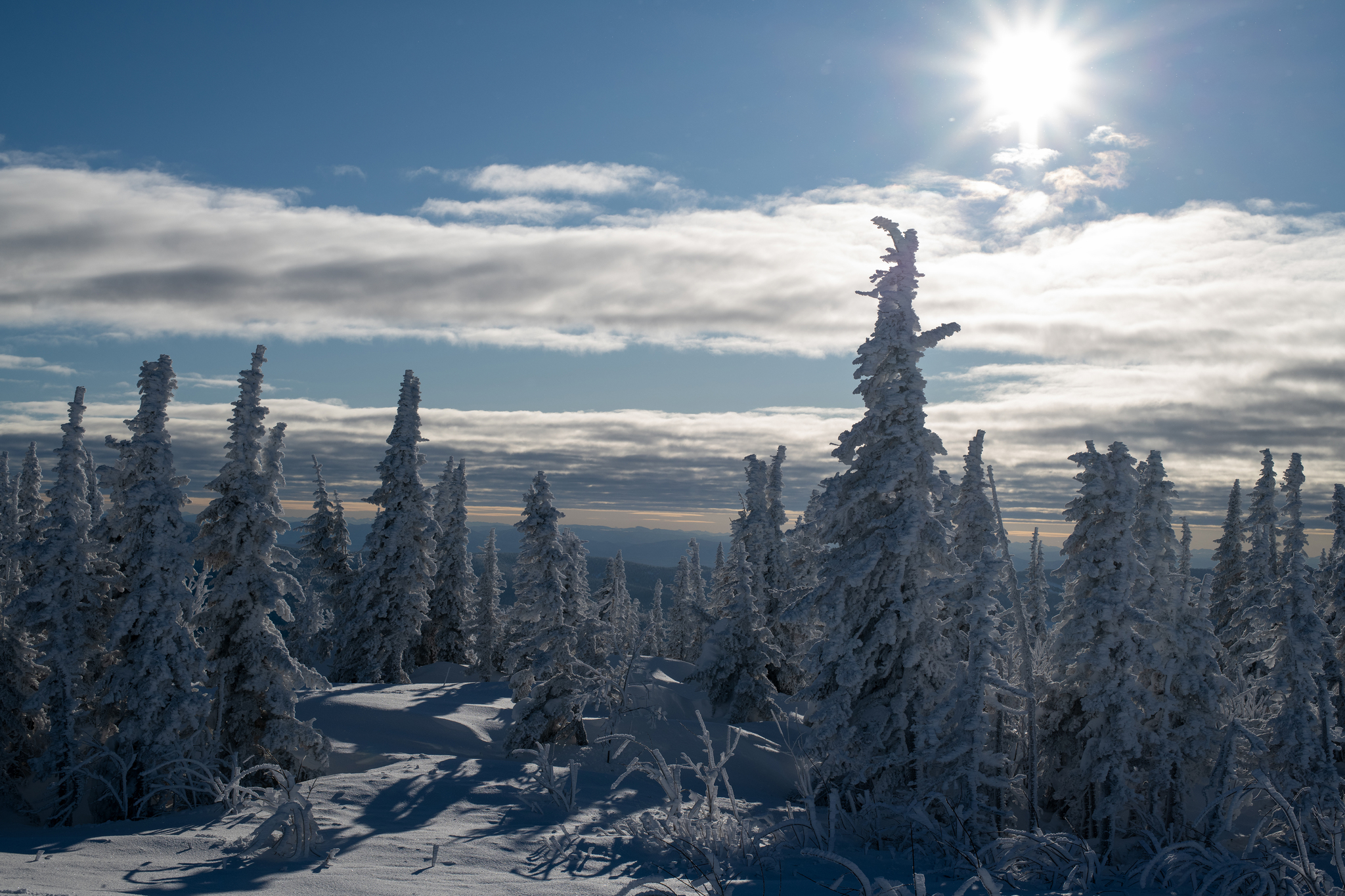 Winter's Tale - My, Christmas trees, The mountains, Sheregesh, Green Mountain, Landscape, Winter, Nikon, Longpost