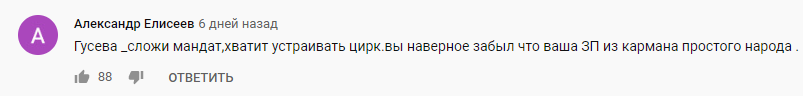 Депутат Госдумы от Единой России Ирина Гусева сравнила бедных граждан с тунеядцами и зэками (ВИДЕО) - Государство, Госдума, Единая Россия, Видео, Длиннопост, Политика, Негатив