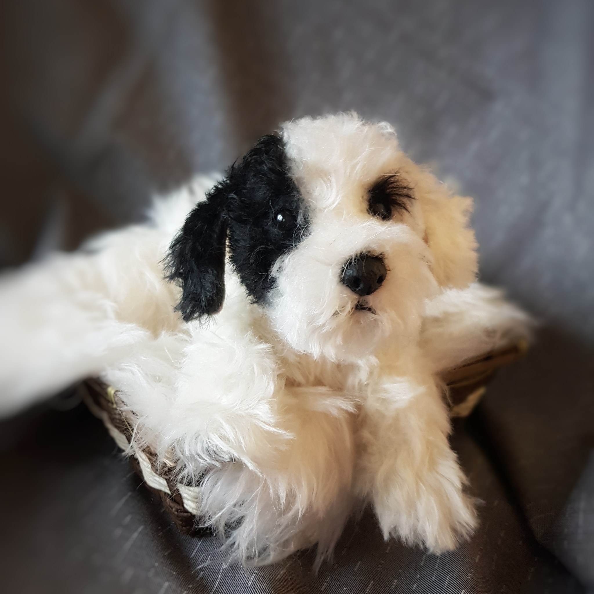 Sealyham Terrier puppy. Made from mohair - My, Dog, Handmade, Longpost