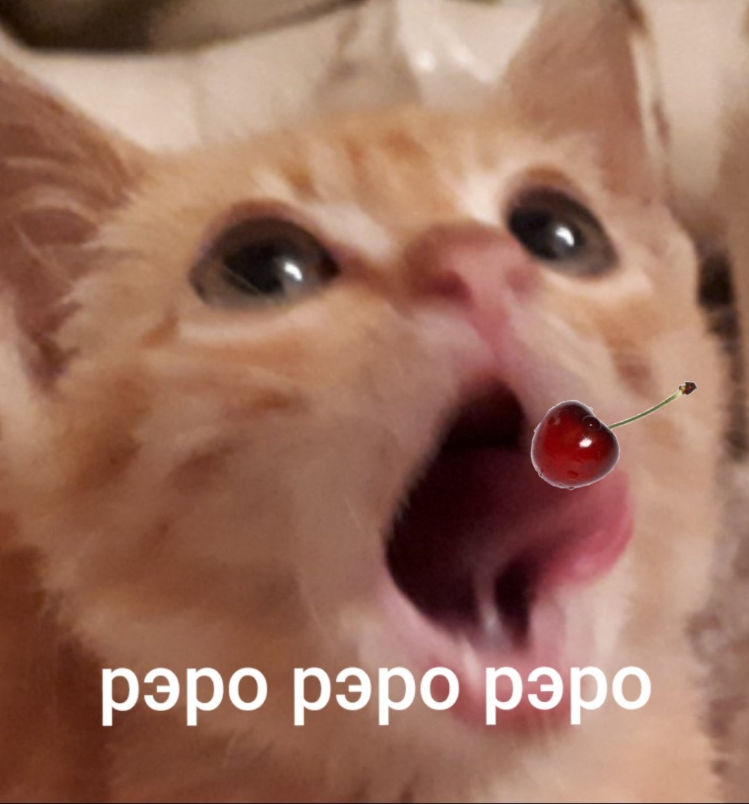 Rero rero rero rero - My, cat, Catomafia, Kittens, Jojos bizarre adventure, Memes