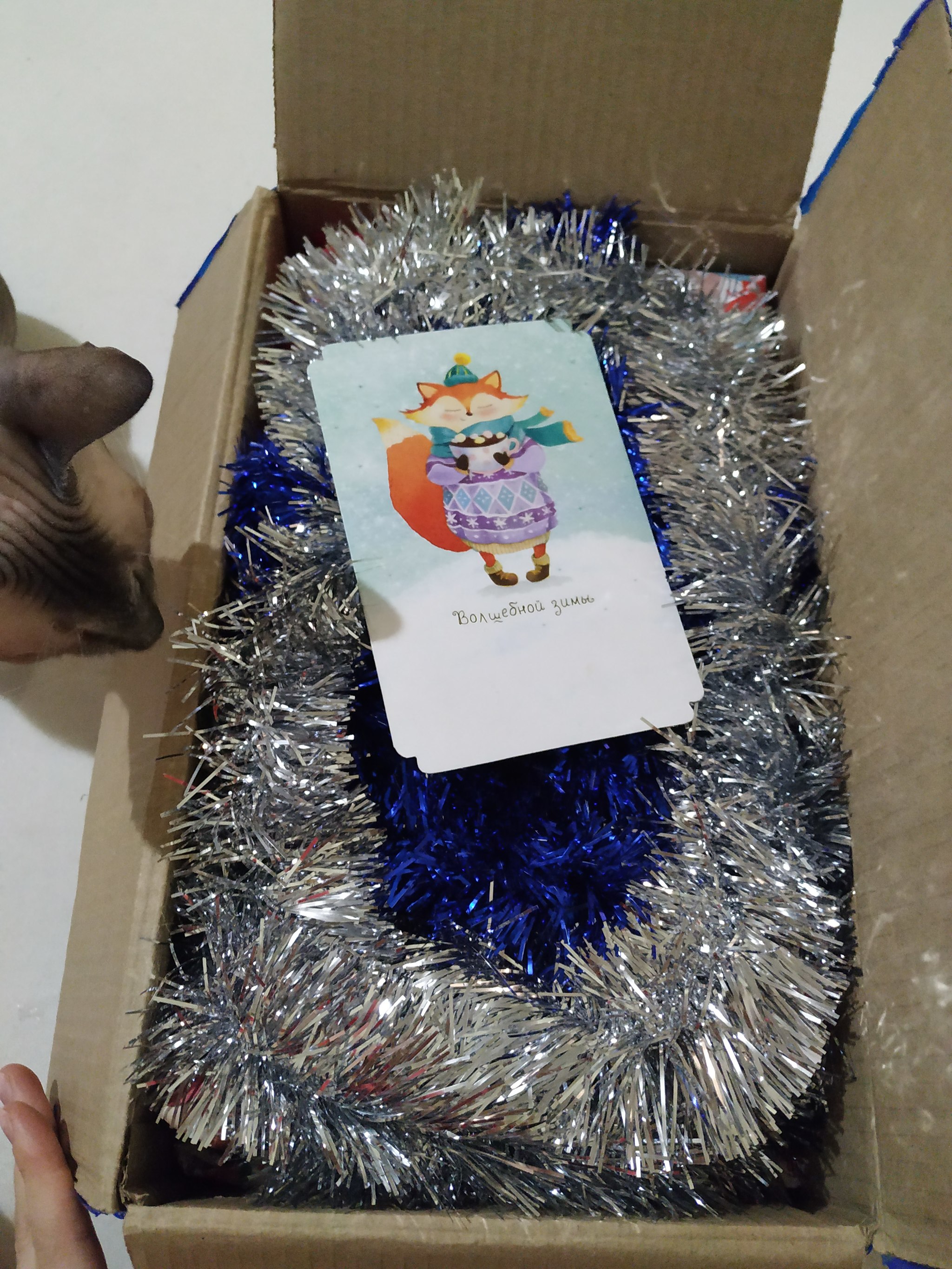 ADM report Novosibirsk-Nur-Sultan - My, Secret Santa, New Year's gift exchange, Gift exchange report, Longpost, Gift exchange